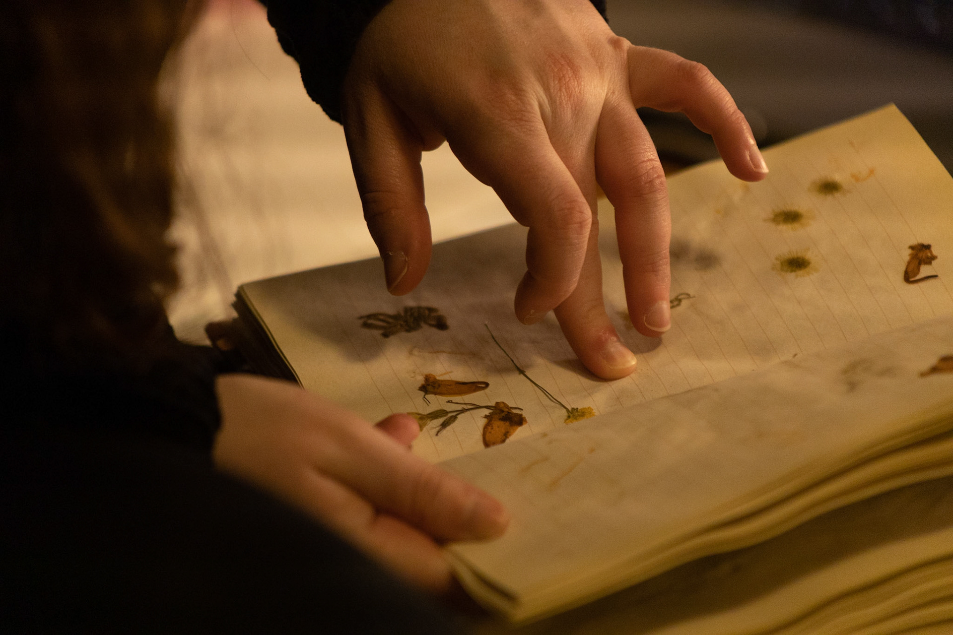 Emily Steinberger captures photos that simulate the layout of a page for her final Honor Thesis Project. The project is focused on conserving Steinberger's family history which was heavily affected by the Holocaust. Taken at Emily's apartment on 04/02/2022. Each pressed flower is chosen specifically for the image, typically to highlight some shape, color, or mood.