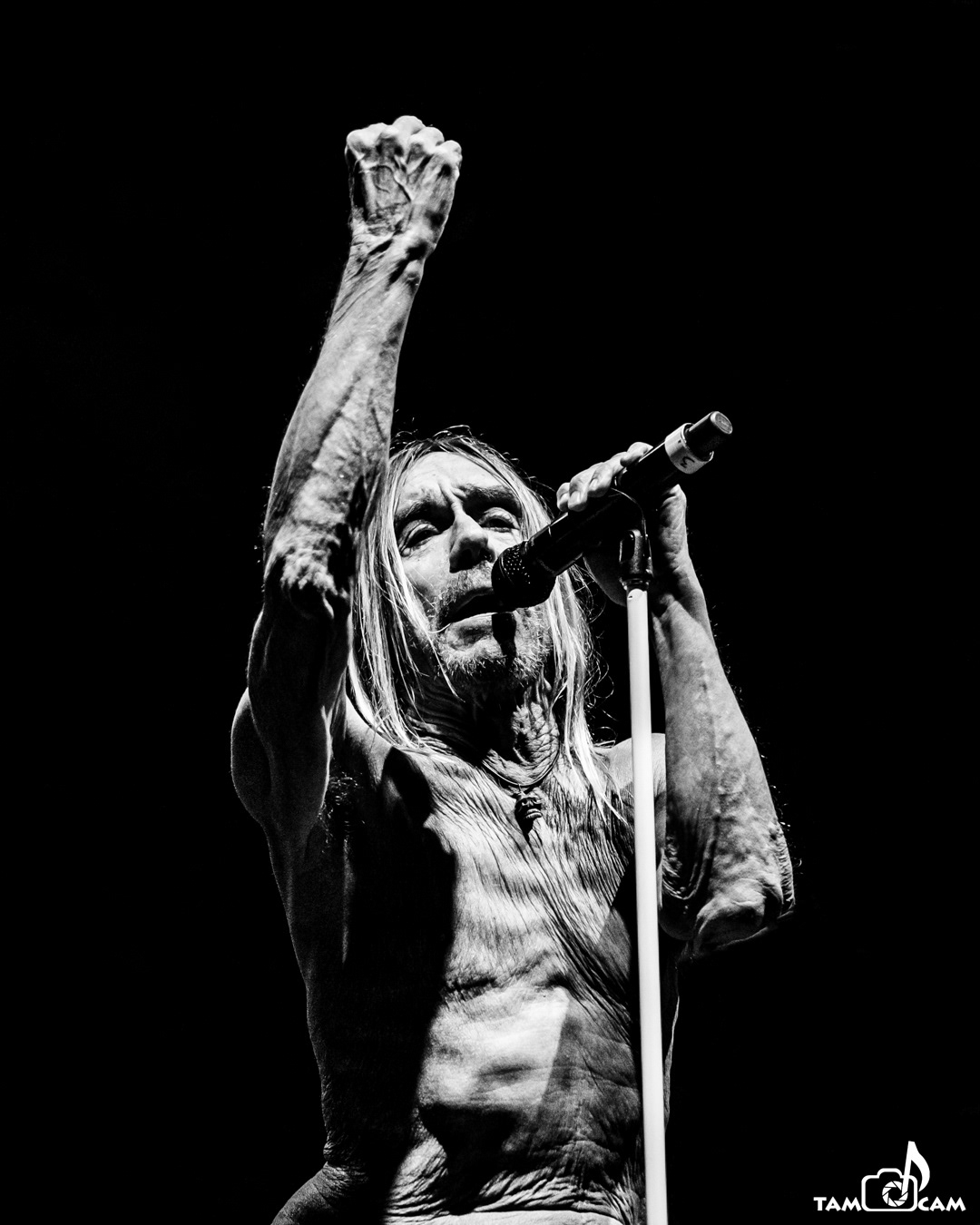 Iggy Pop