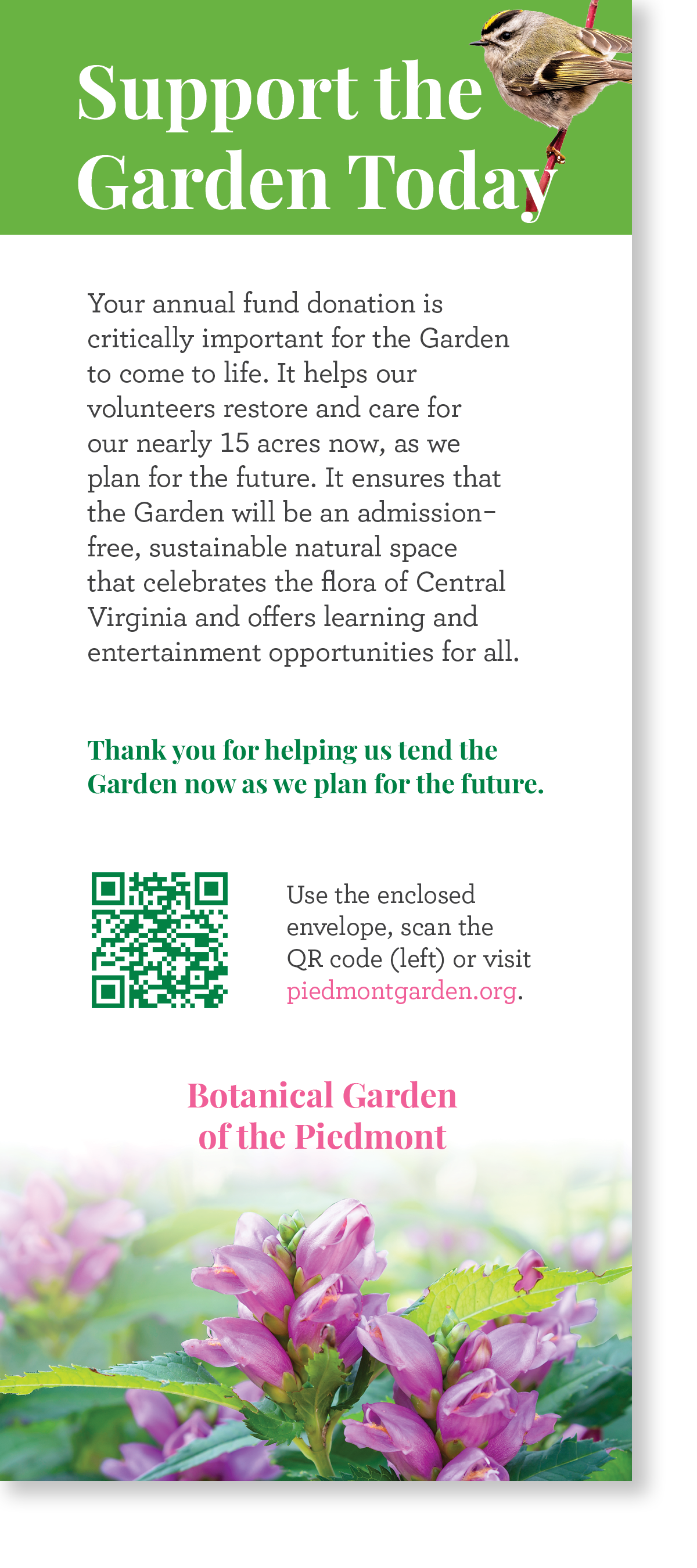 Appeal Side 2