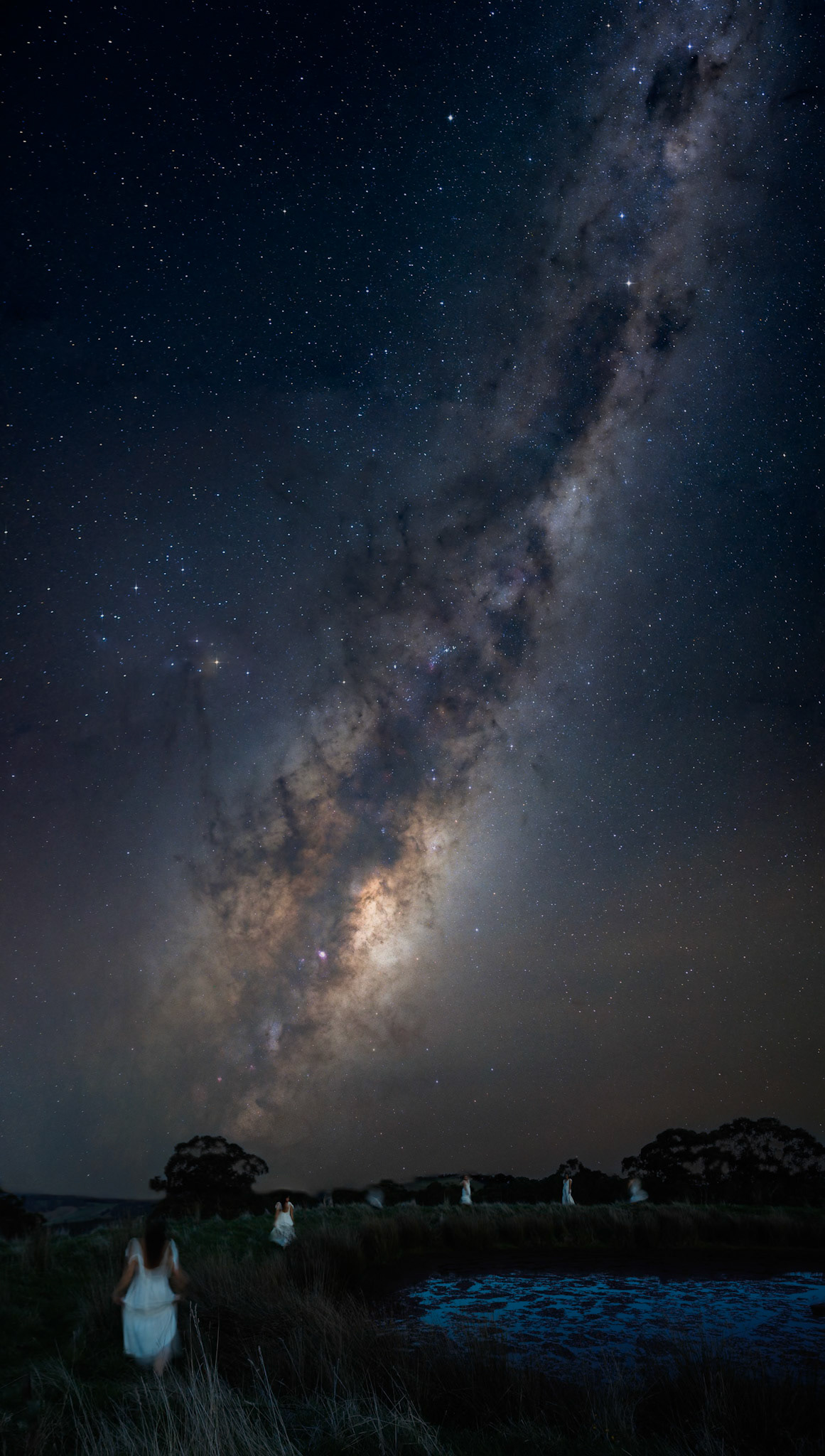 Dancing Under the Dark Emu