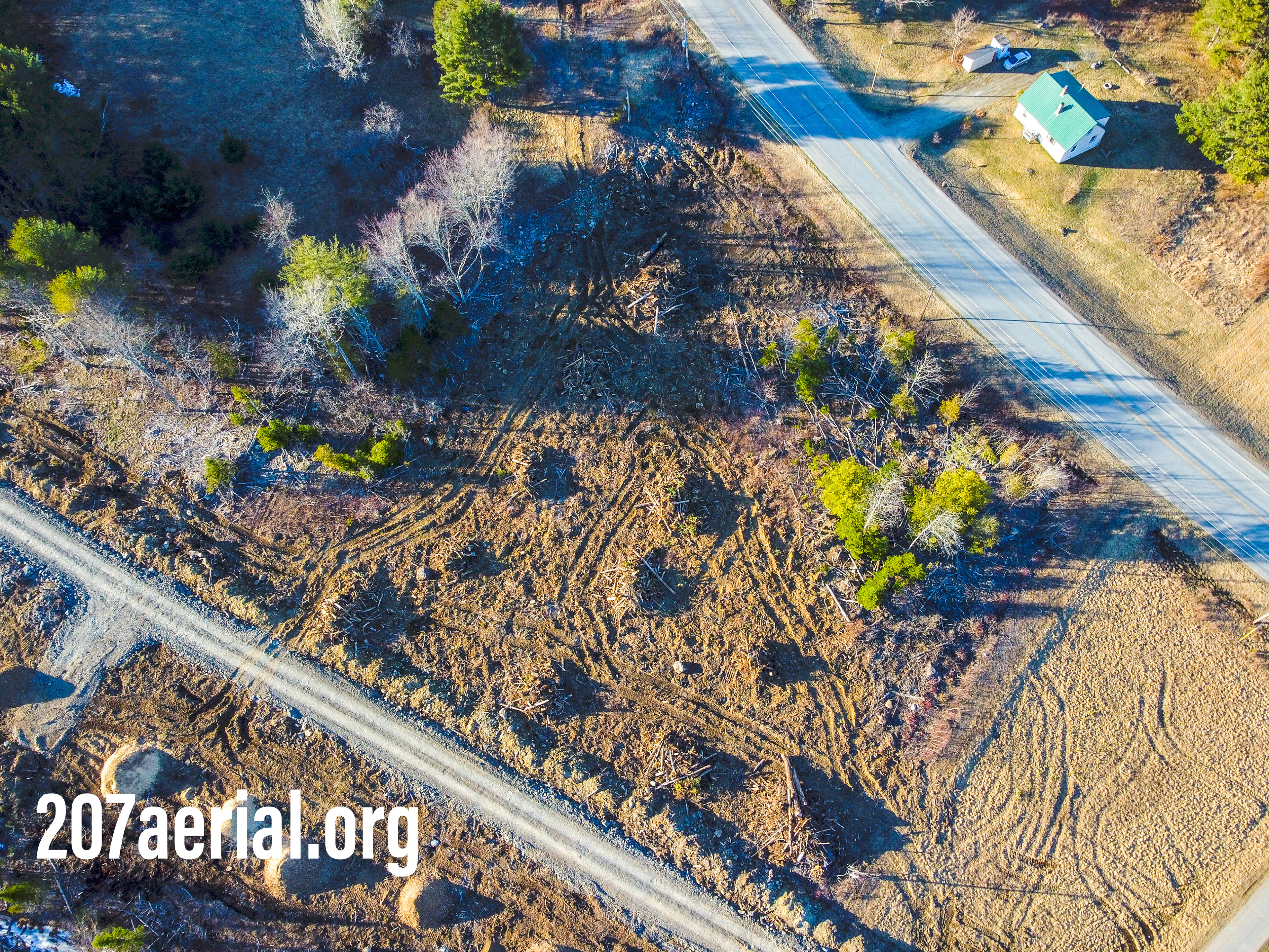More trees have been removed to make room for the highway project. Eddington, Maine. (April 2023)