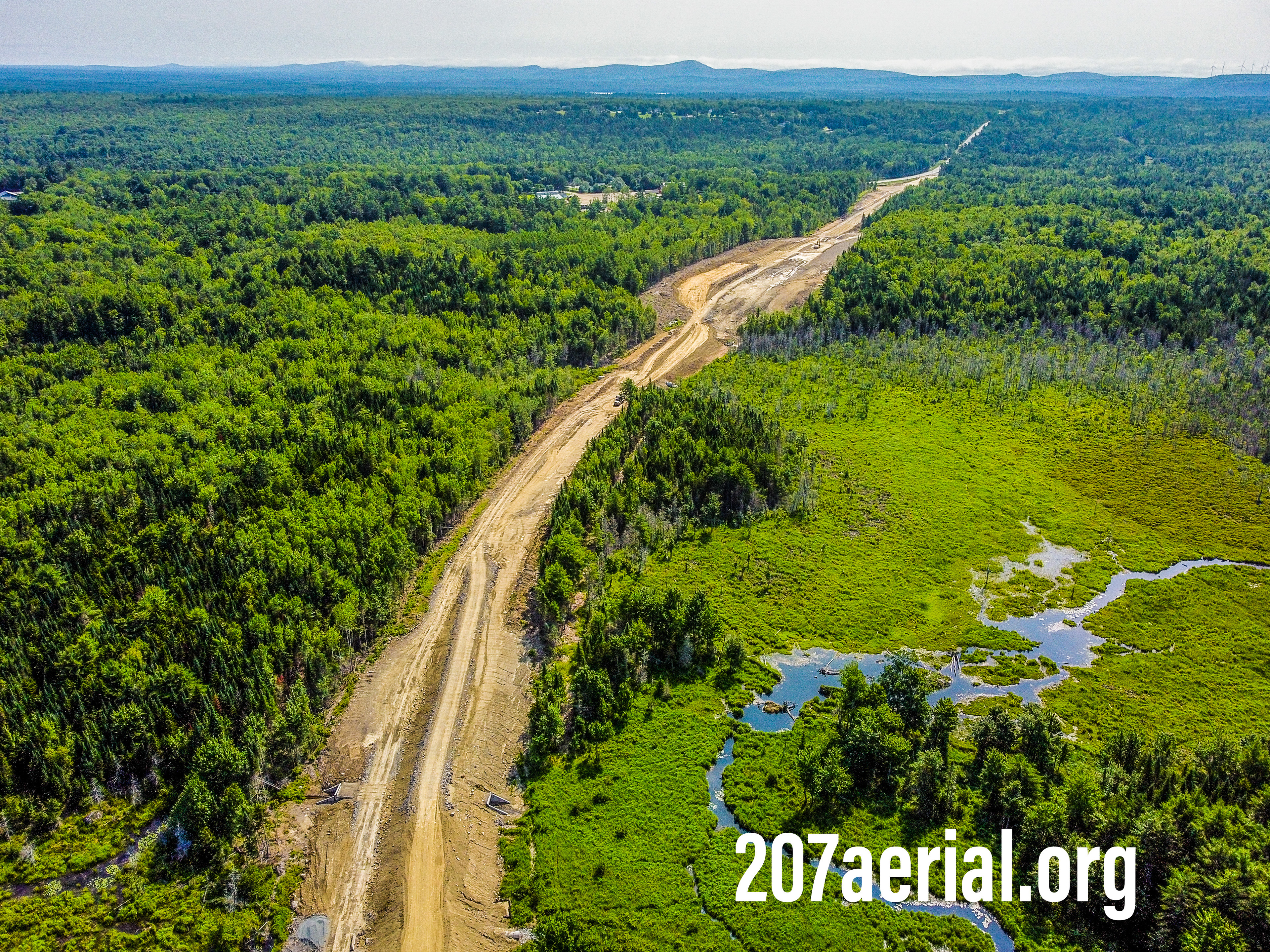 View of the woods where the road cuts through forests. Eddington, Maine. July 2023.