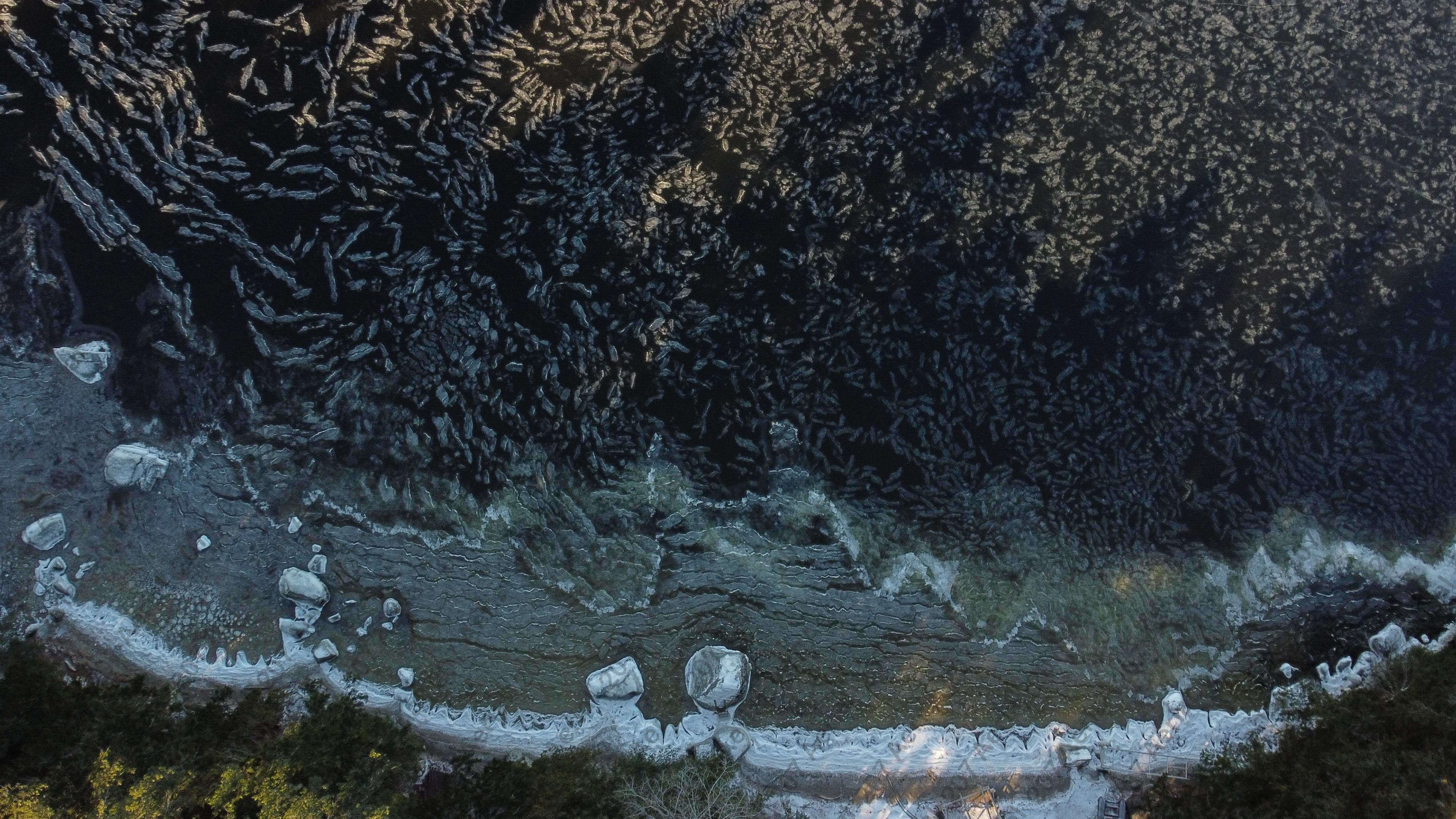 December 24th, 2021. Photoshoot.