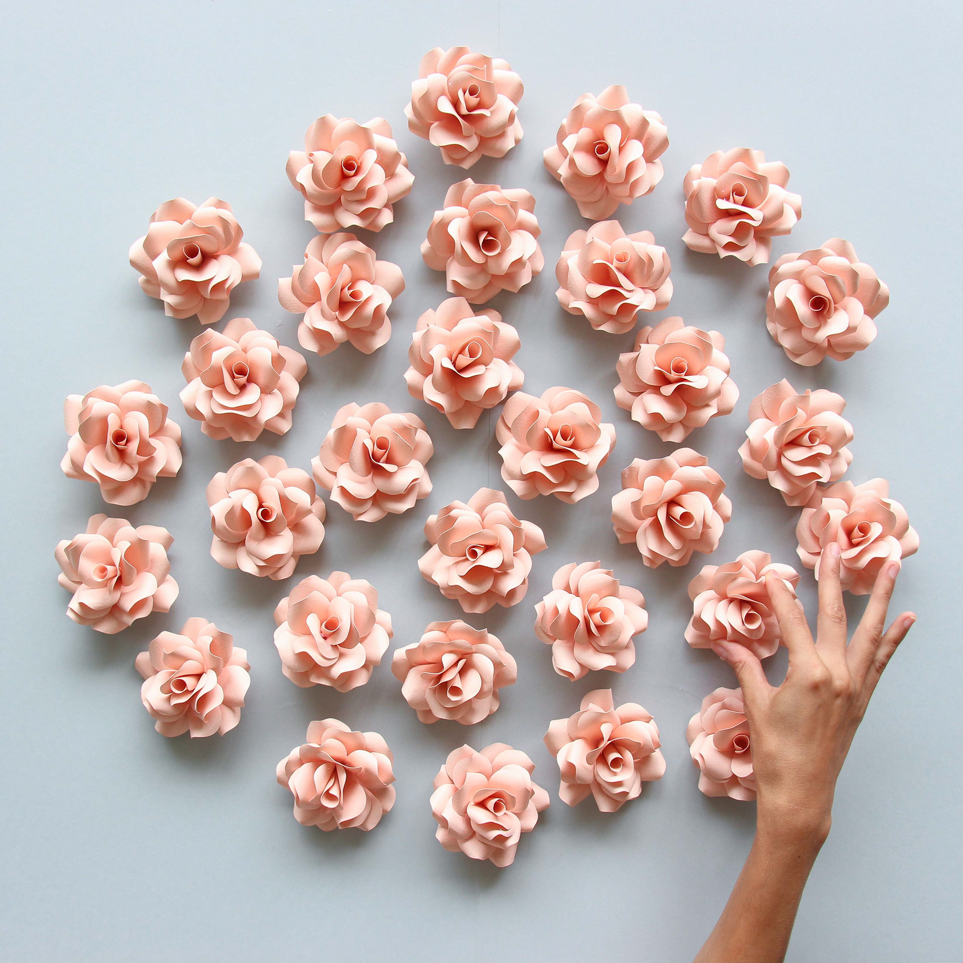 Dior Paper Flowers 