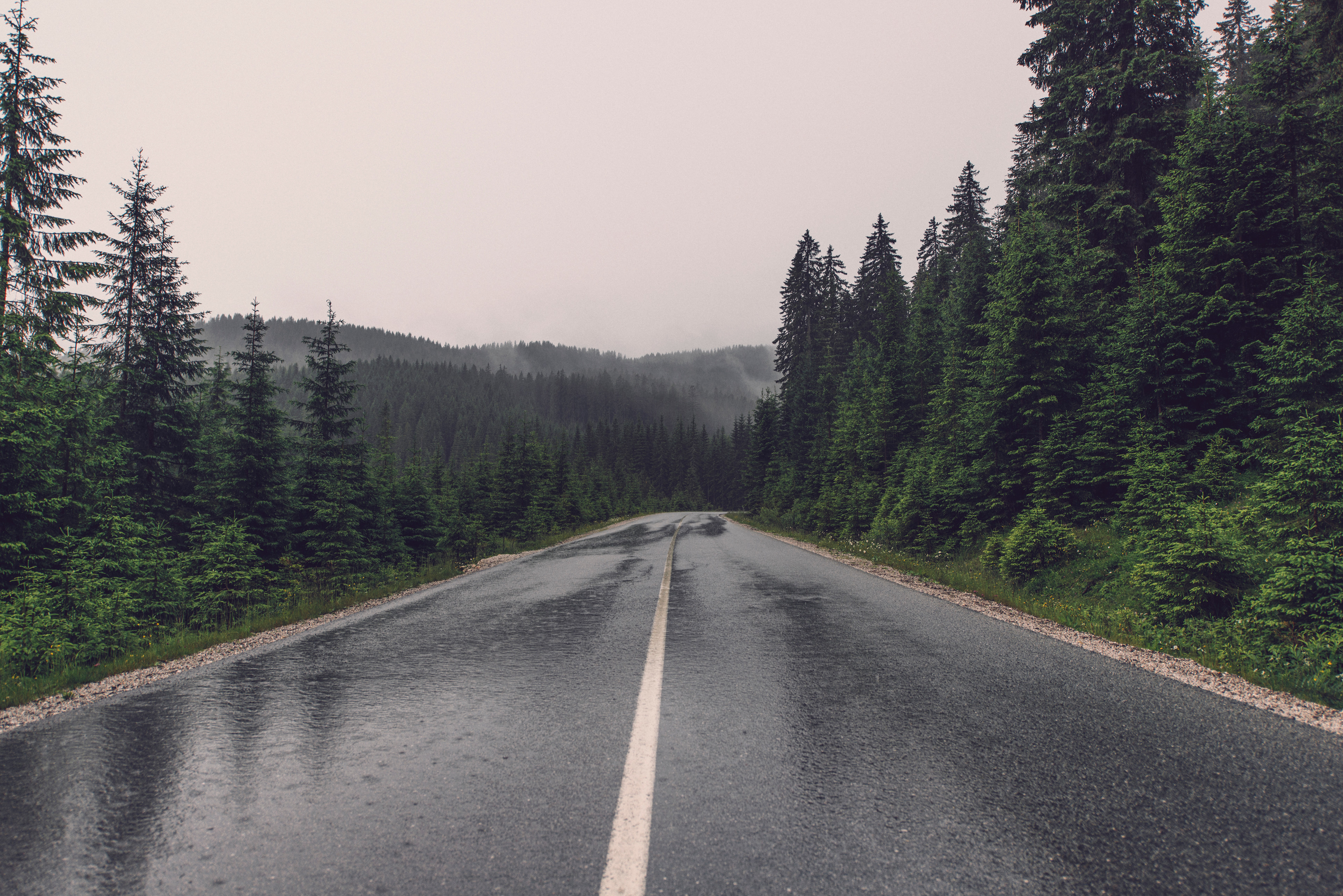 MORE DIRECTION