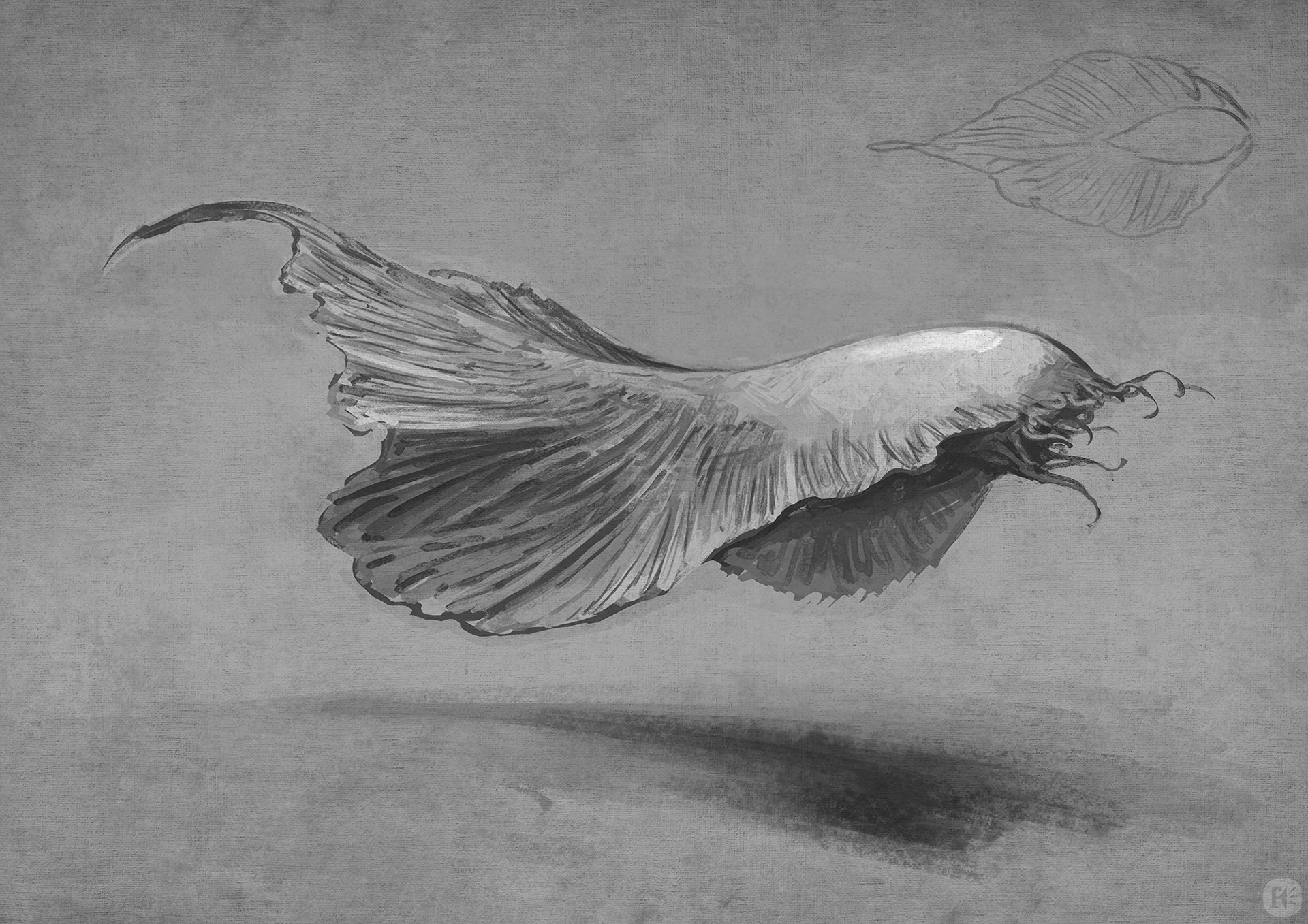 Design for a flying creature