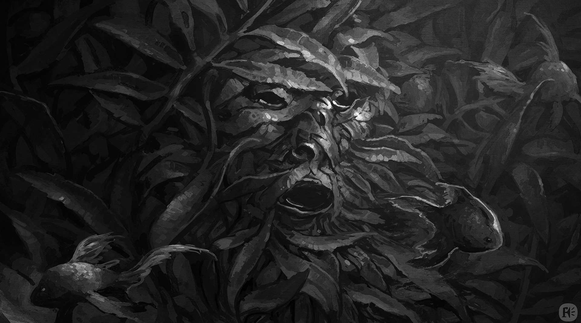 Magic communication - kelp.