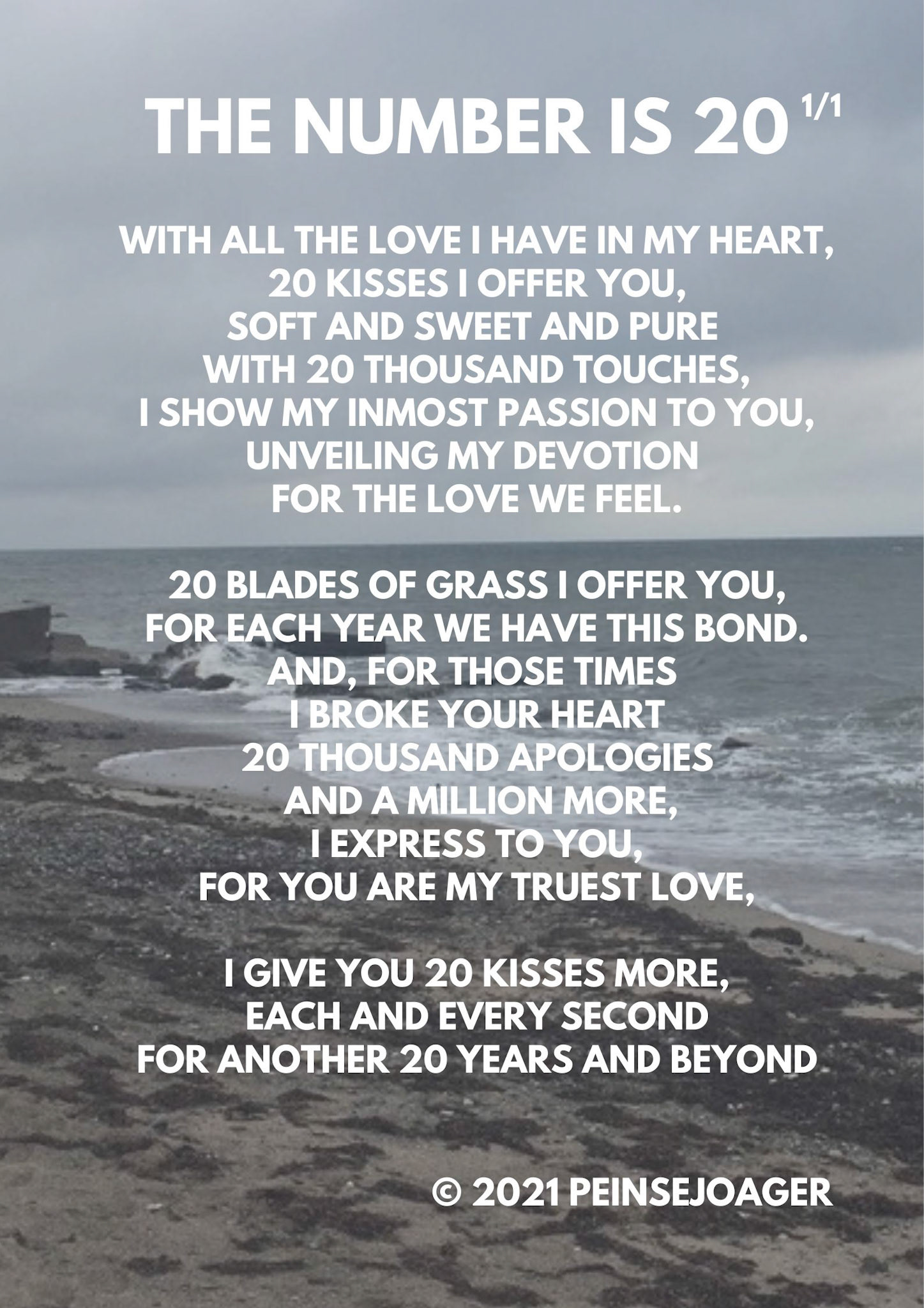 The Number is 20 - 1