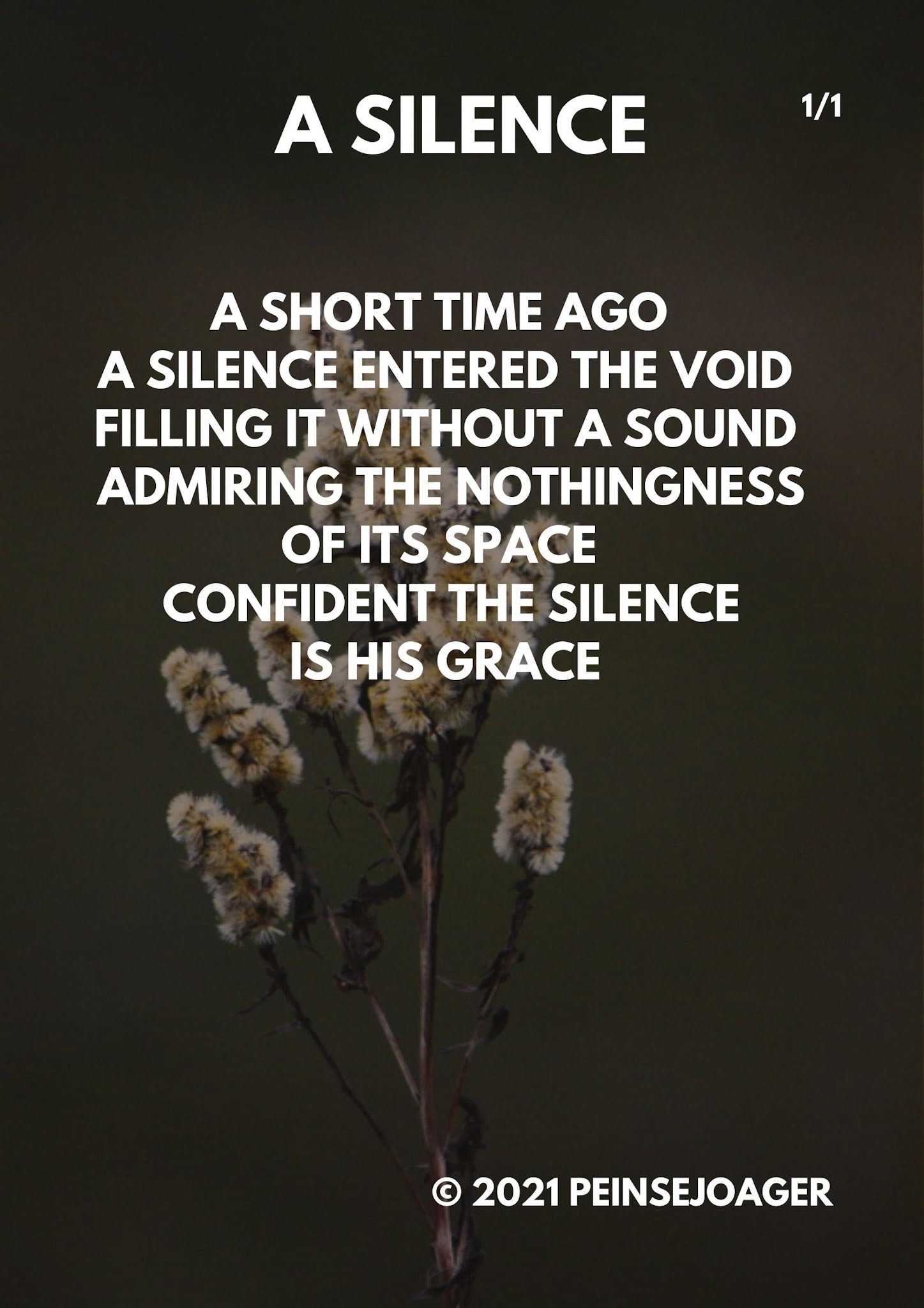 A Silence - 1