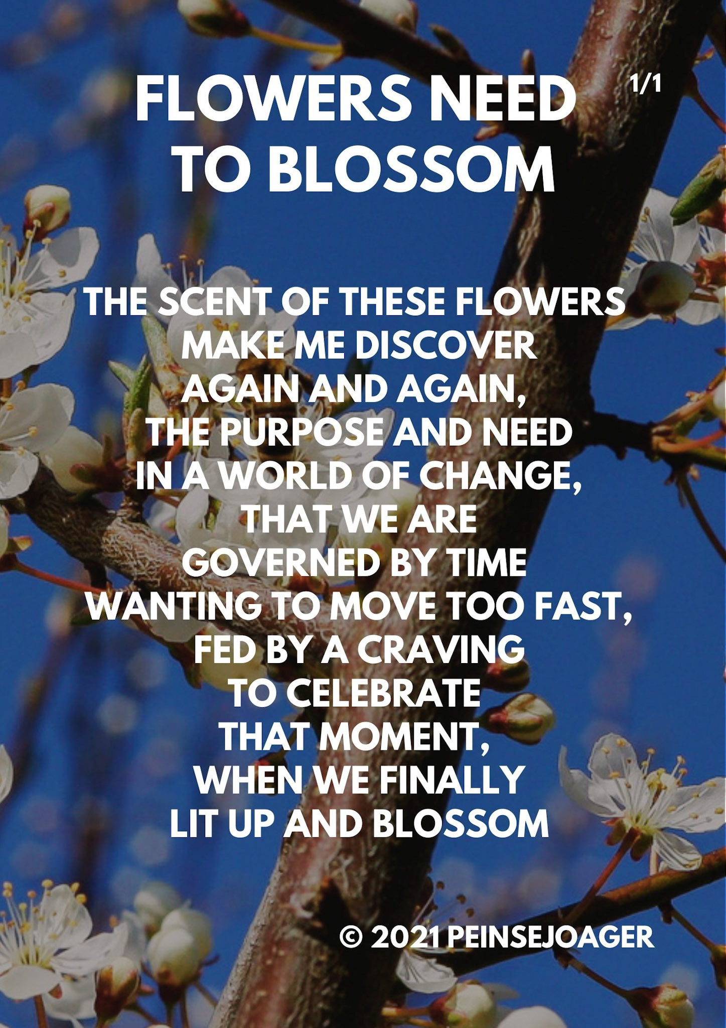 Flowers need to blossom - 1