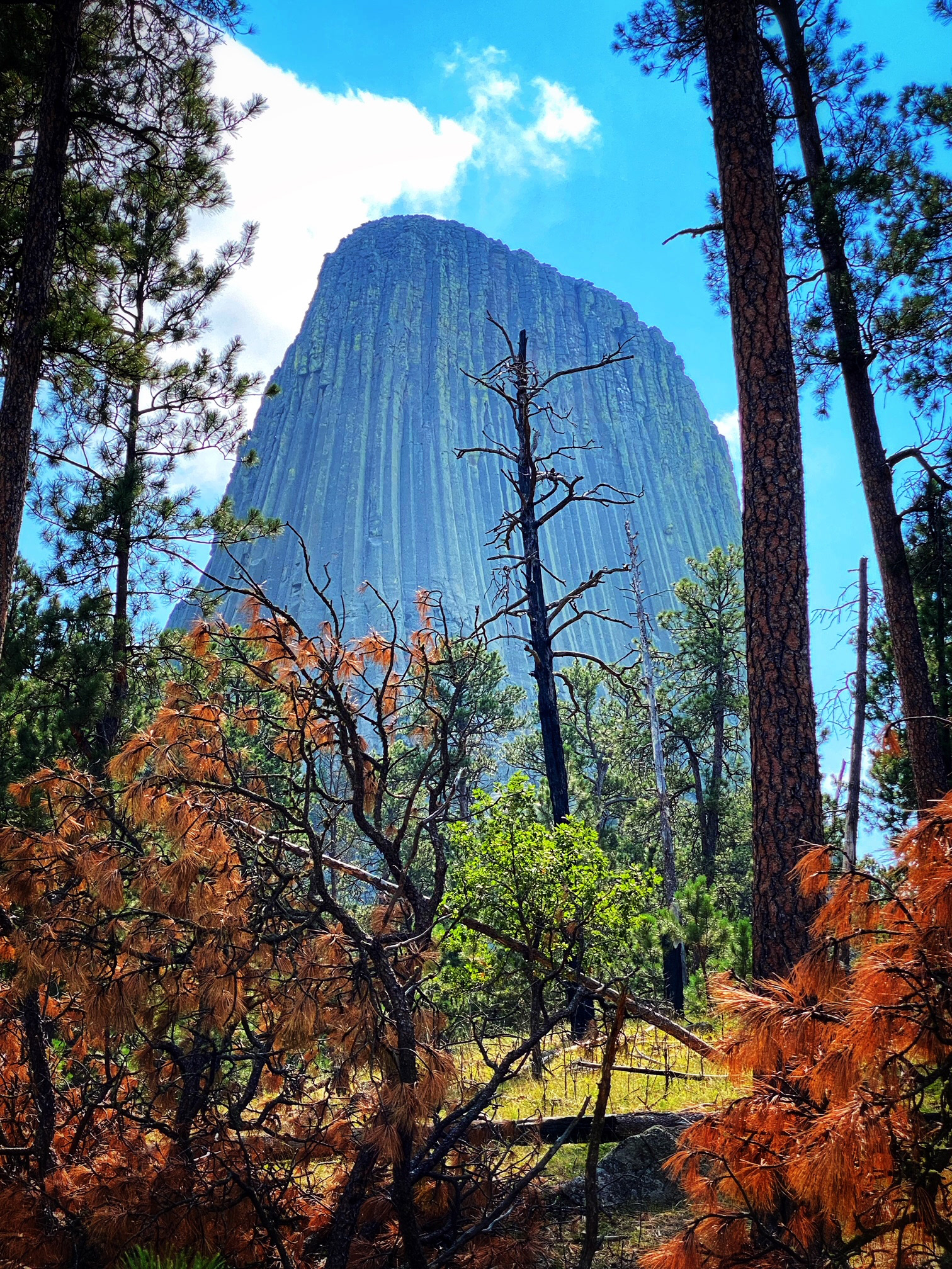 Devils Tower National Monument