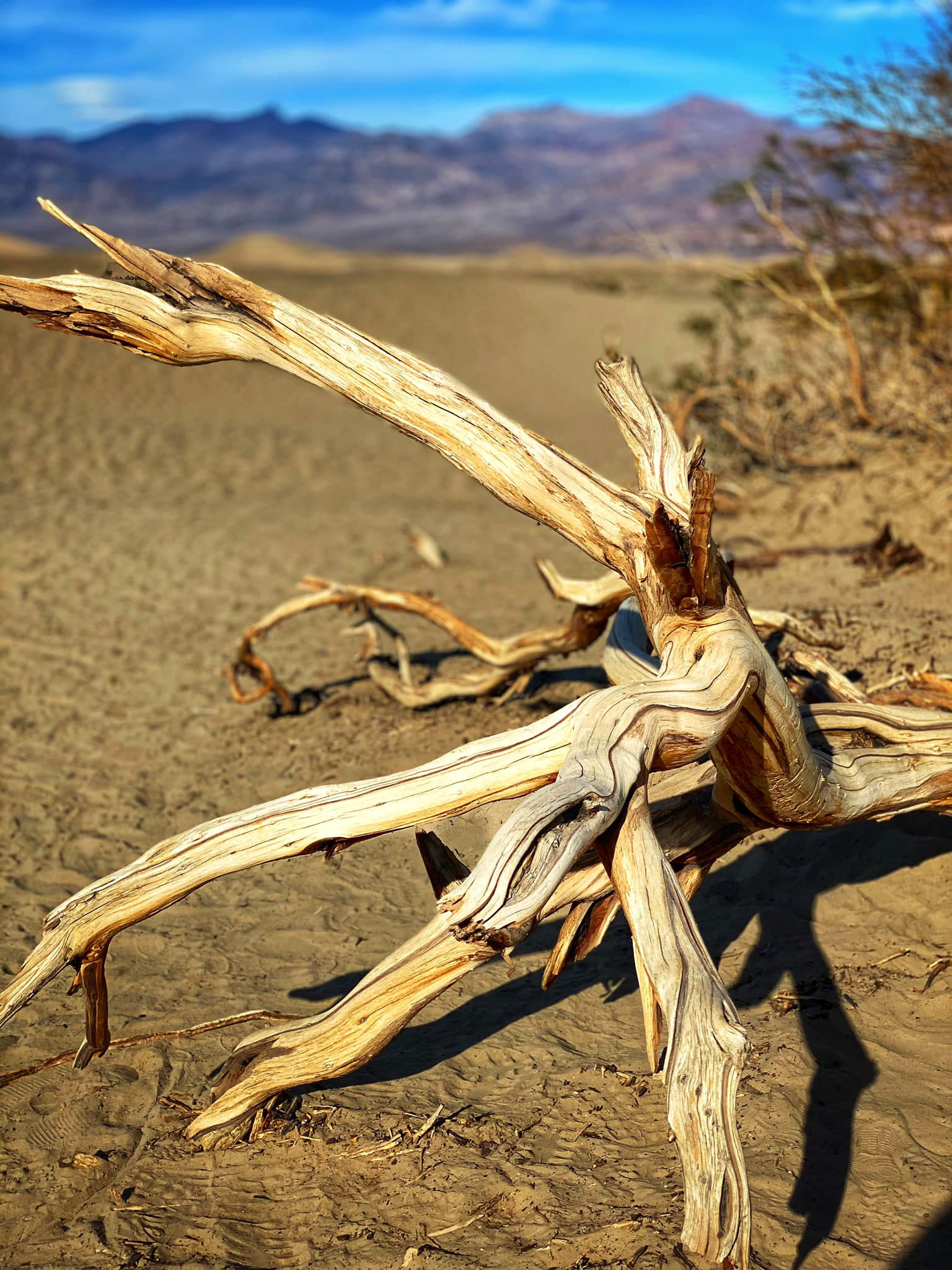 Death Valley National Park