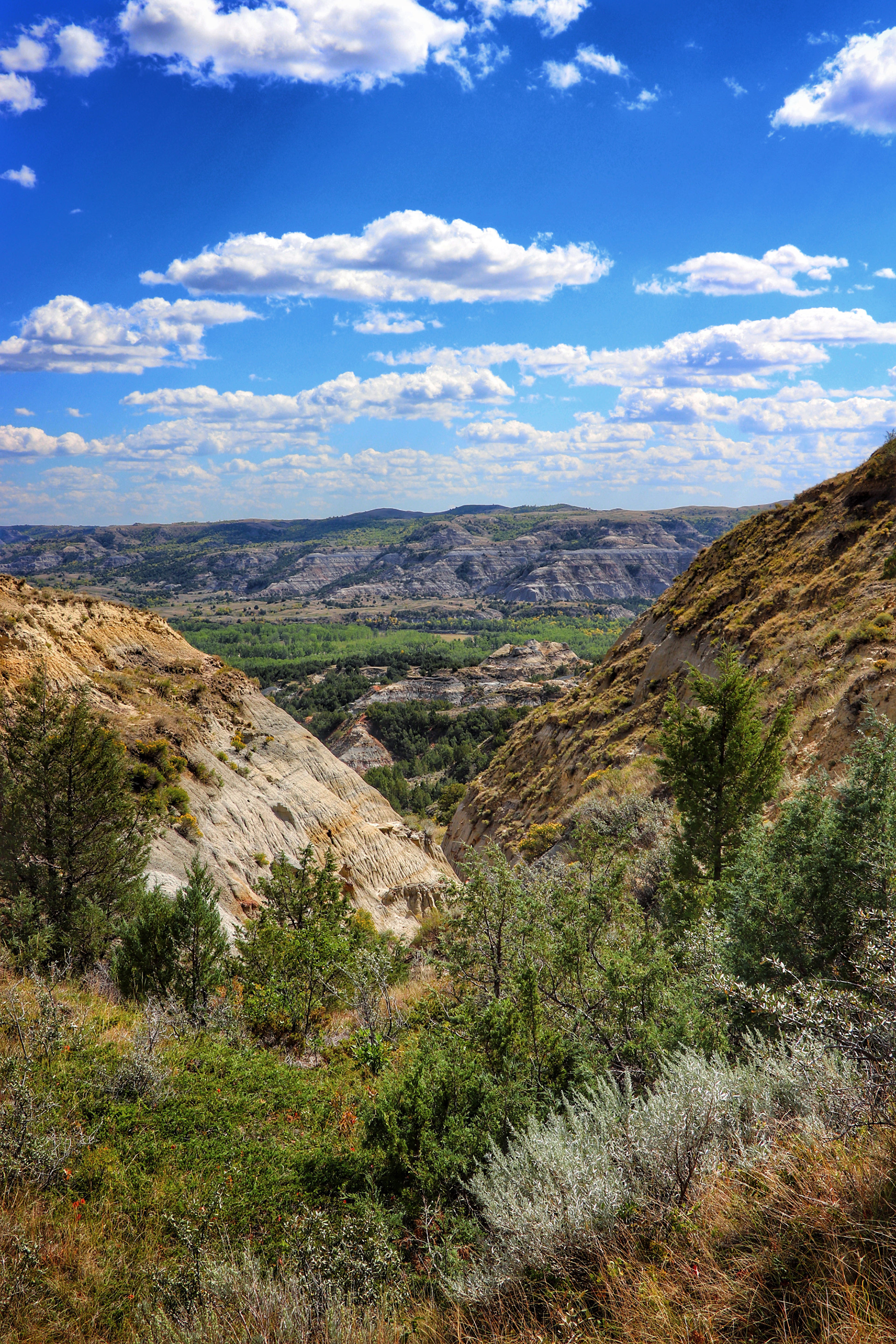 Theodore Roosevelt National Park