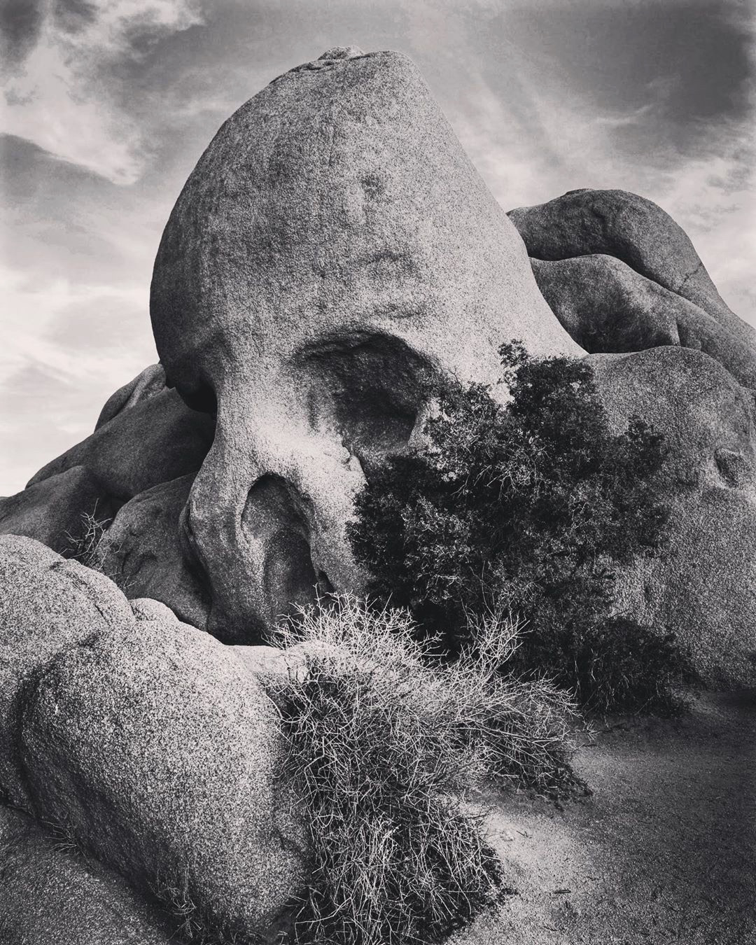Skull Rock, Joshua Tree National Park