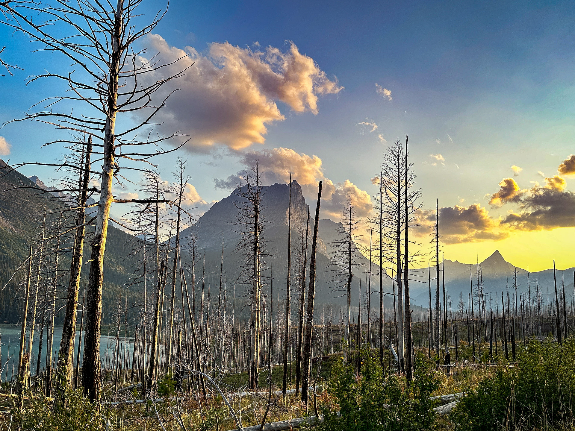 Golden Hour, Glacier National Park