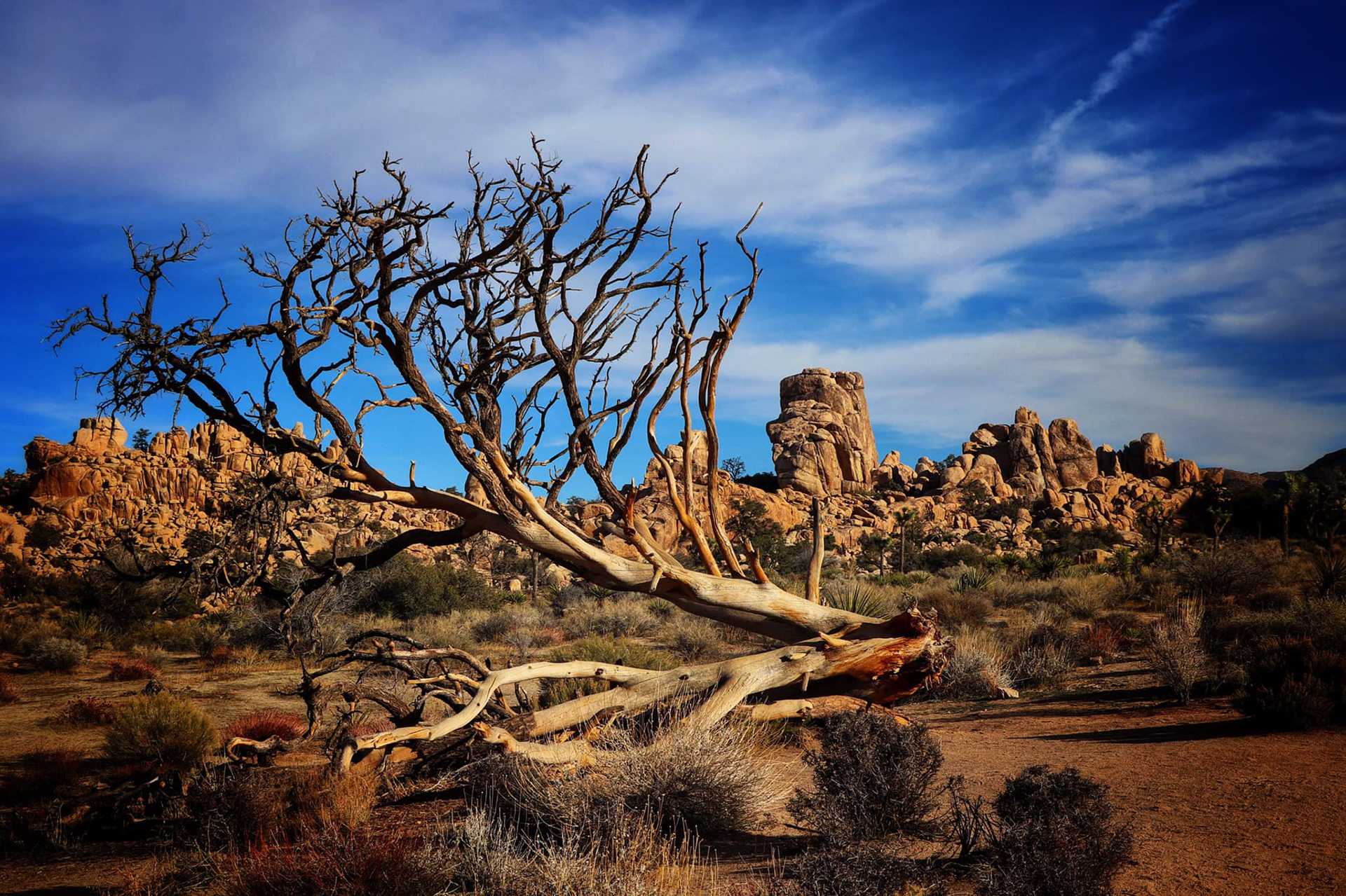 Hidden Valley Nature Trail, Joshua Tree National Park