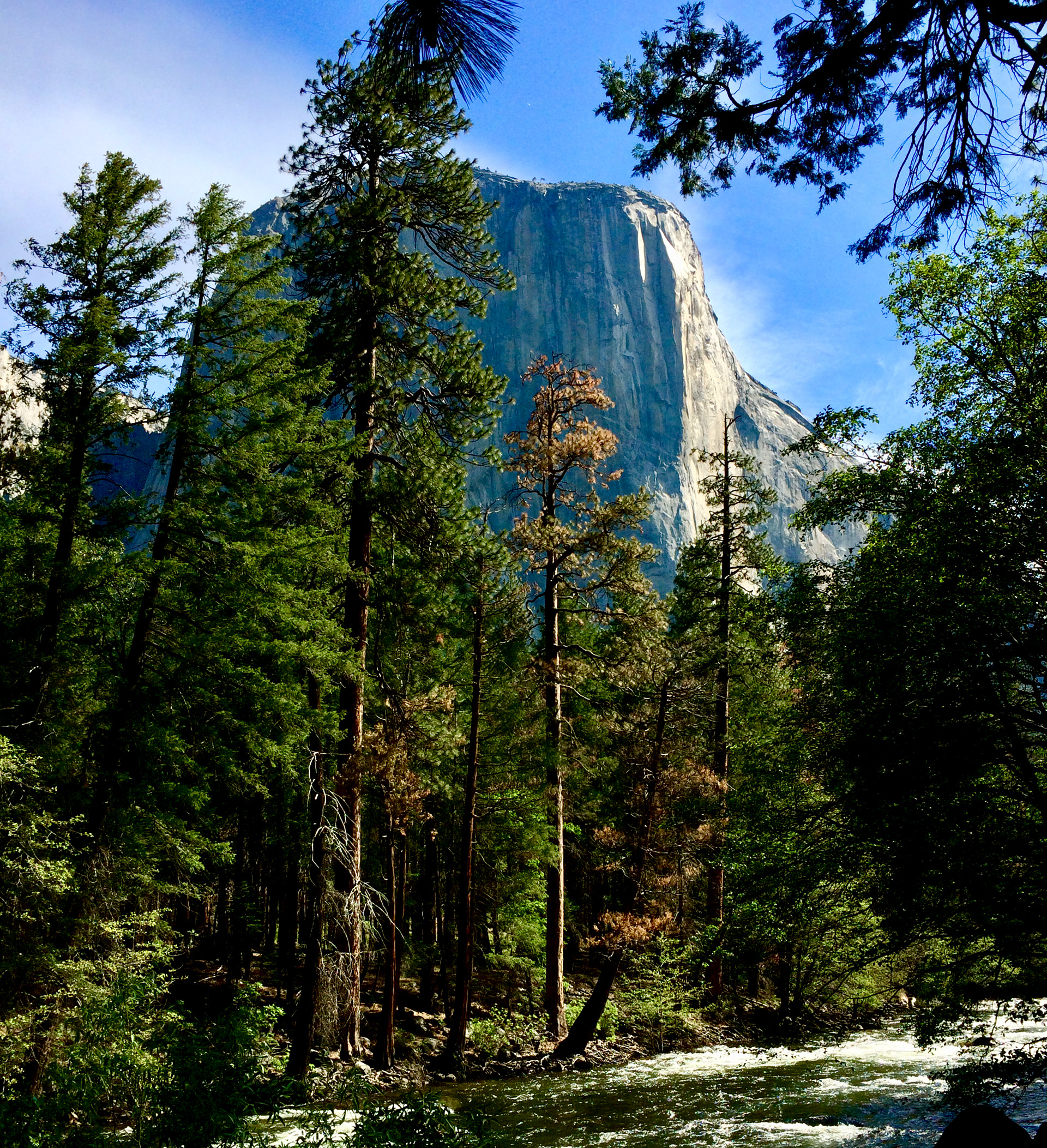Yosemite National Park