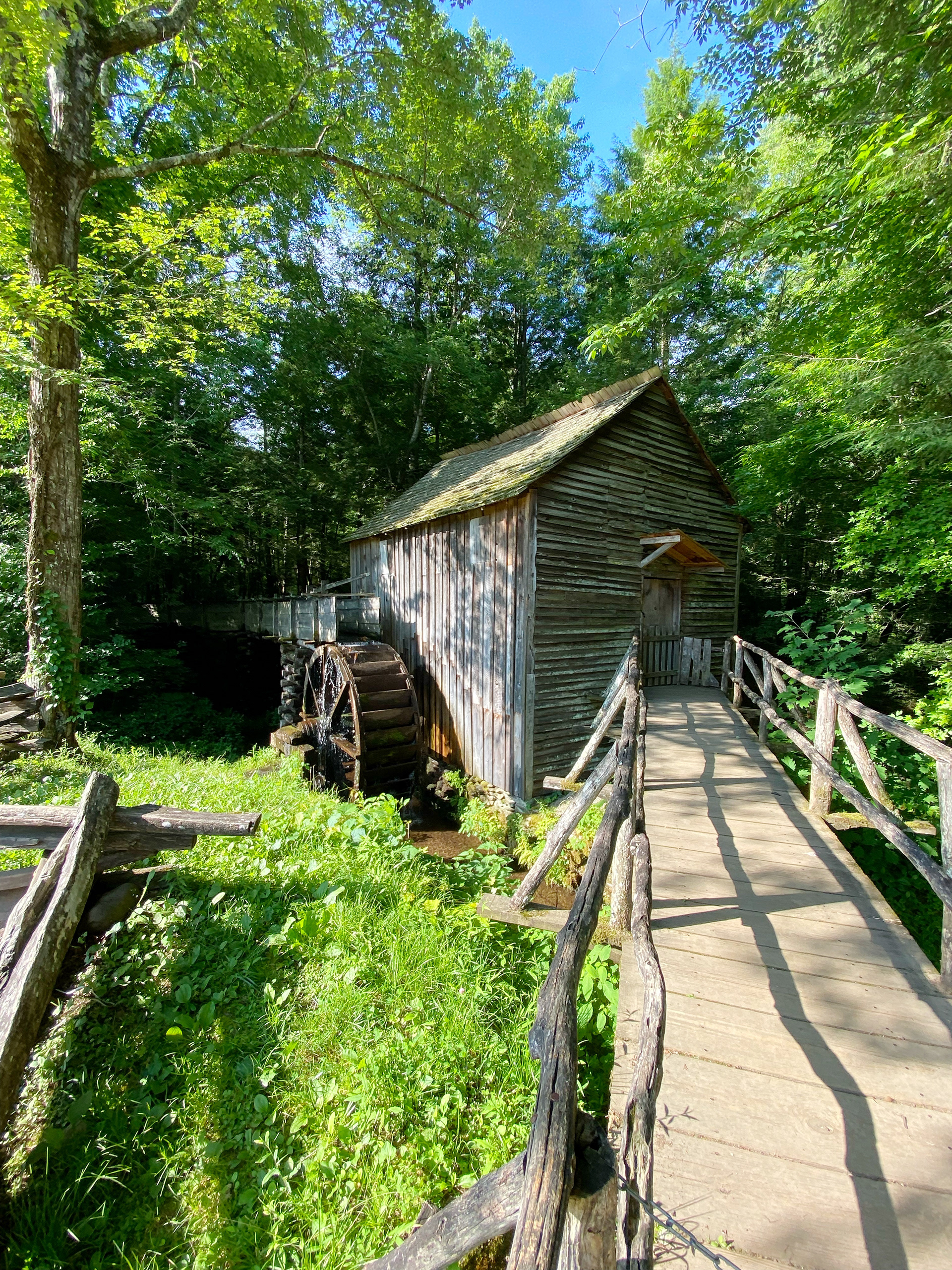 Great Smoky Mountains National Park