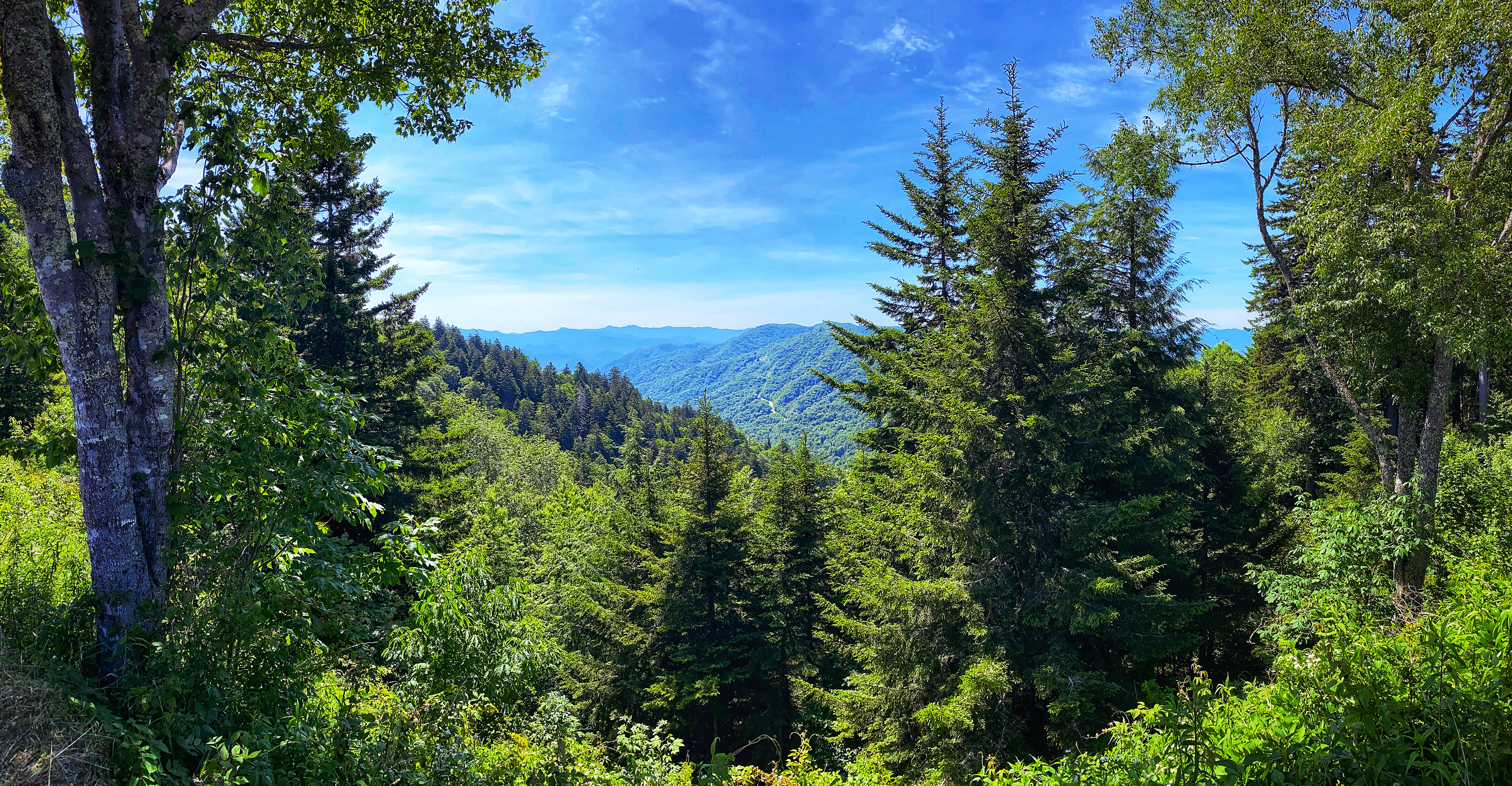 Great Smoky Mountains National Park