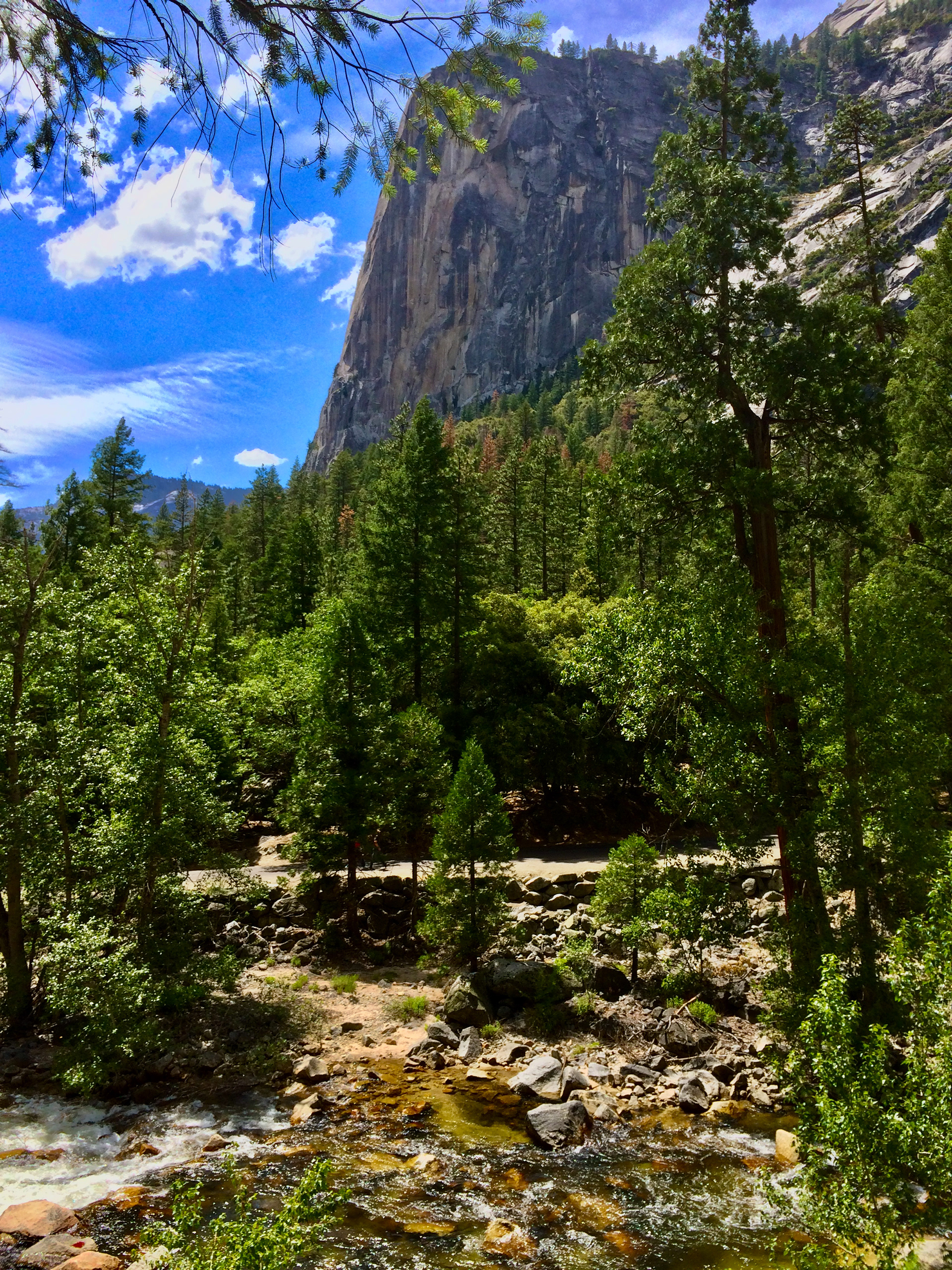 Yosemite National Park