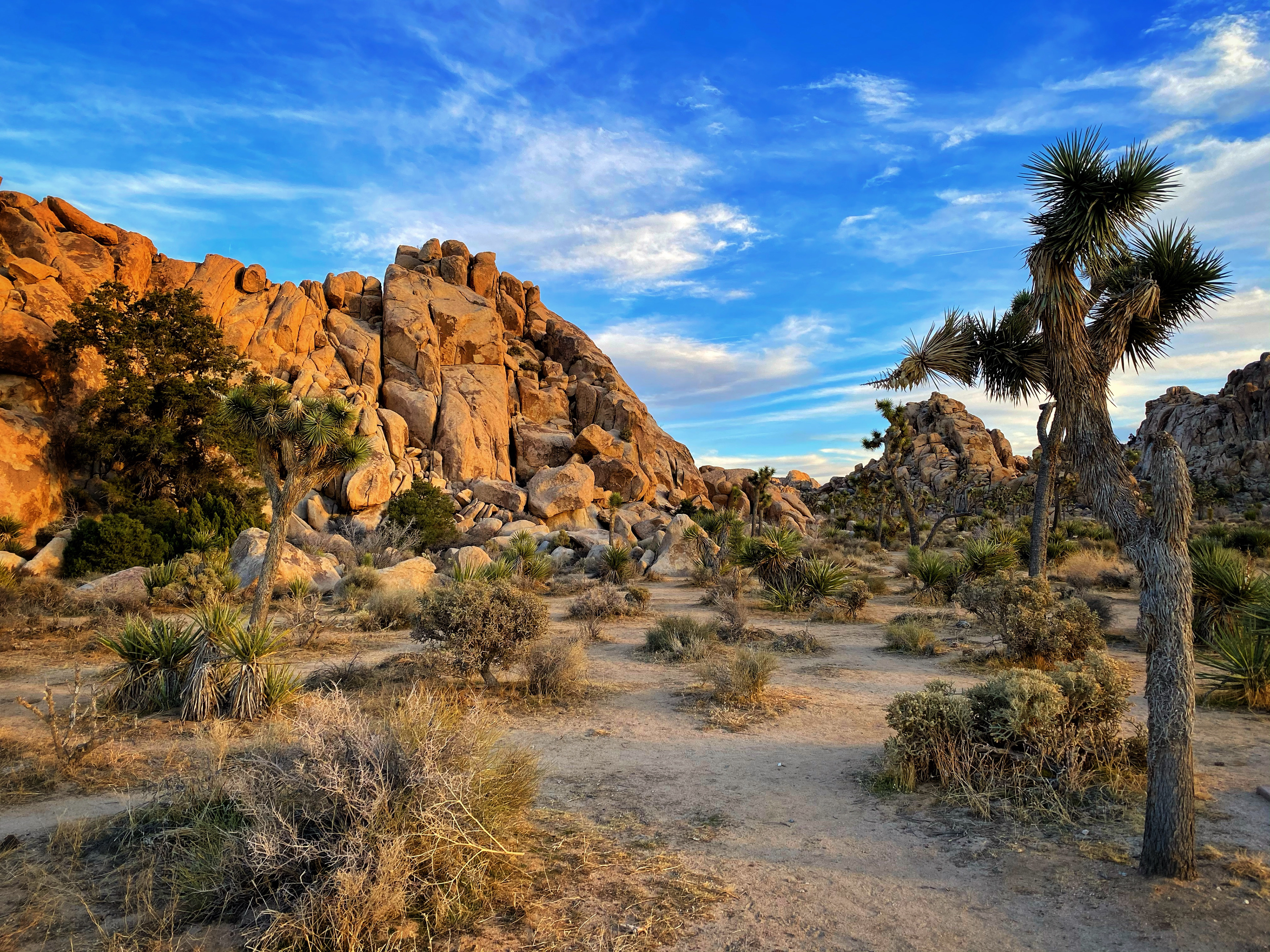 Joshua Tree National Park