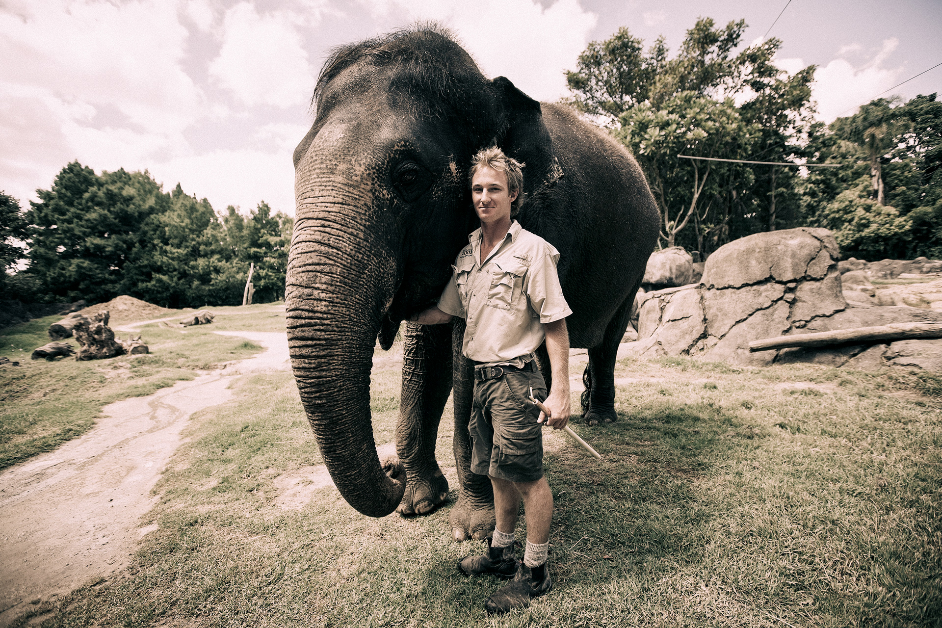 Auckland Zoo and NZCCM photography