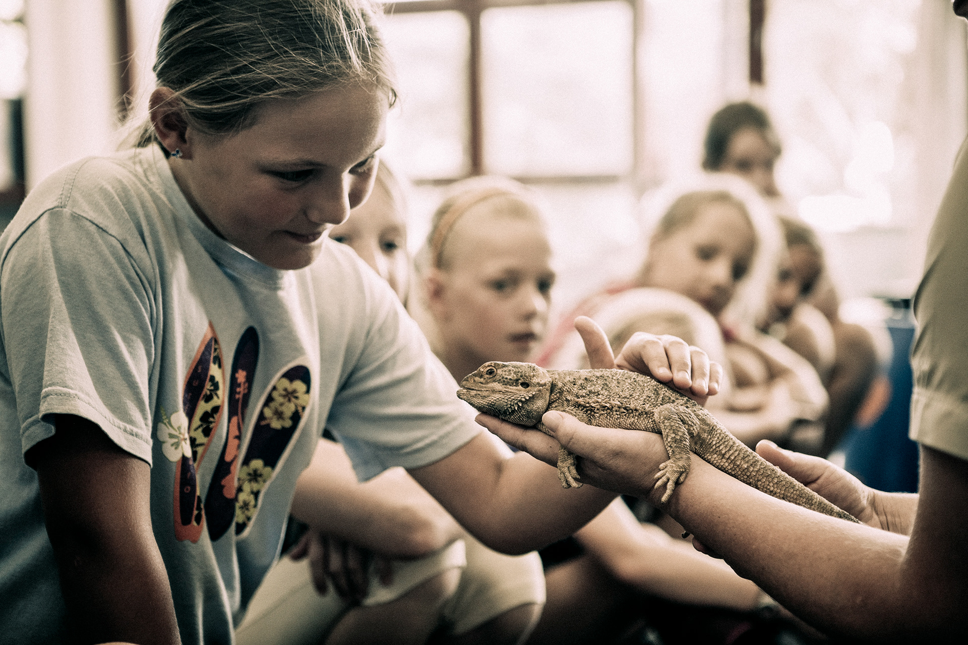 Auckland Zoo and NZCCM photography