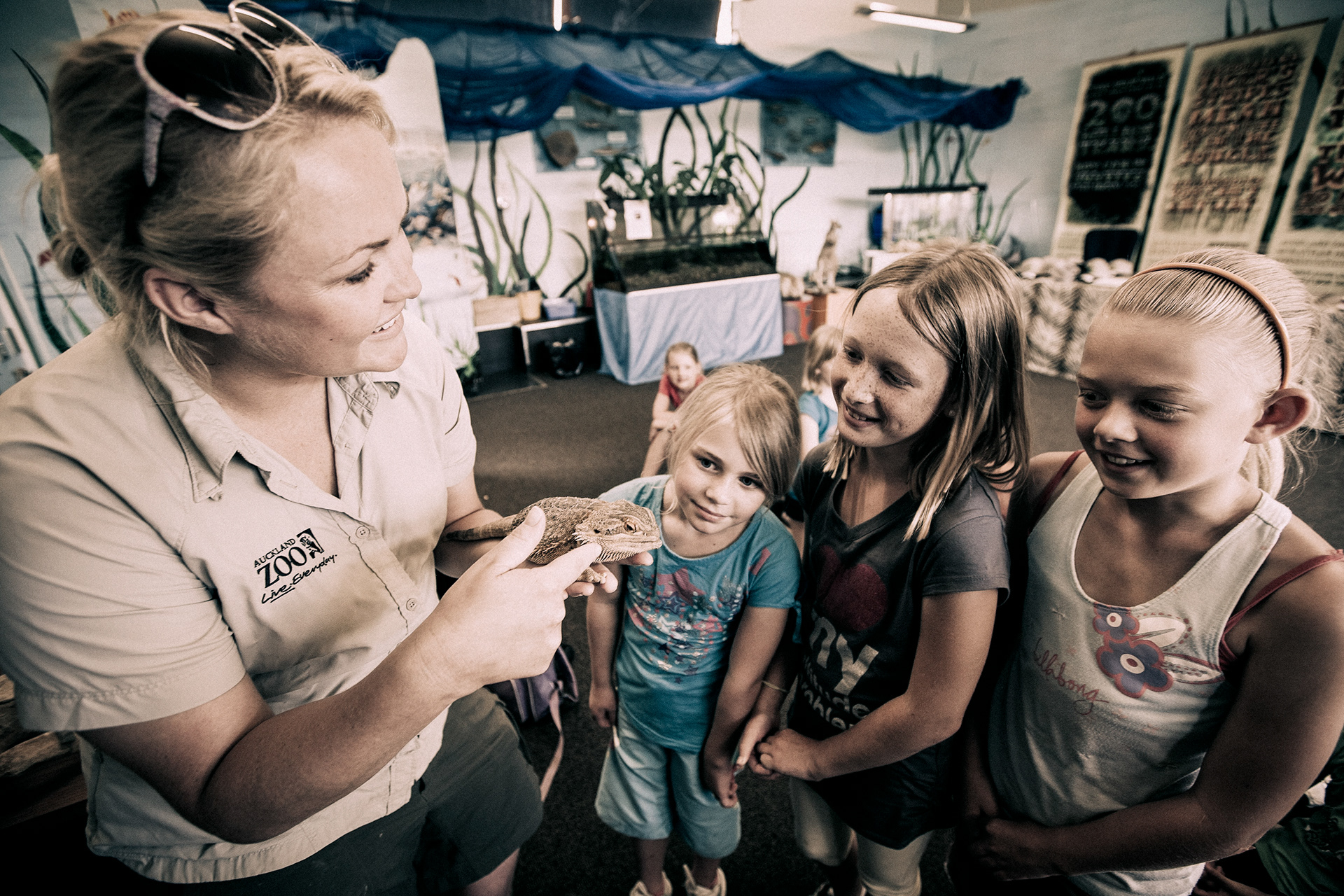 Auckland Zoo and NZCCM photography