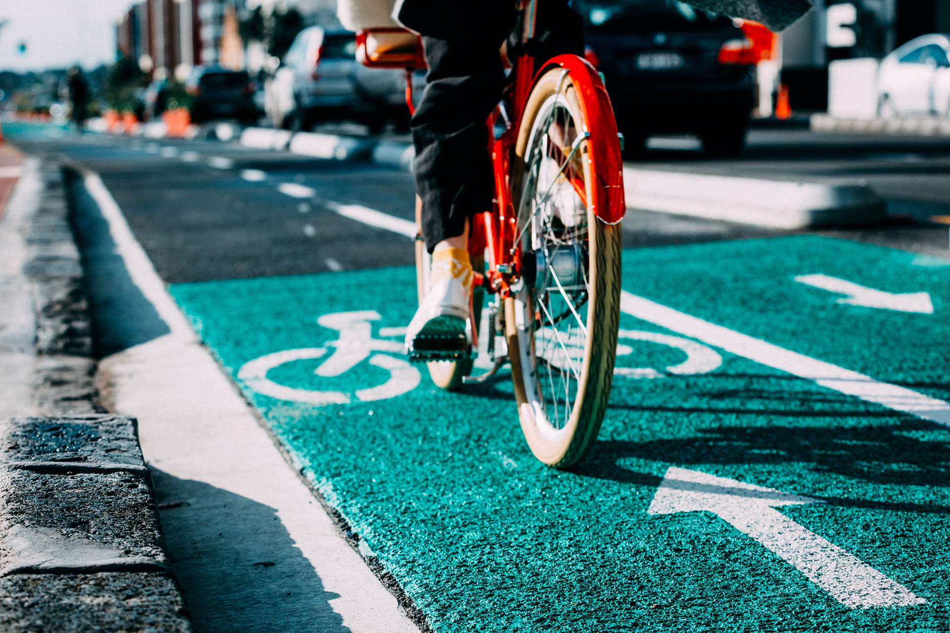 Auckland Community Photography