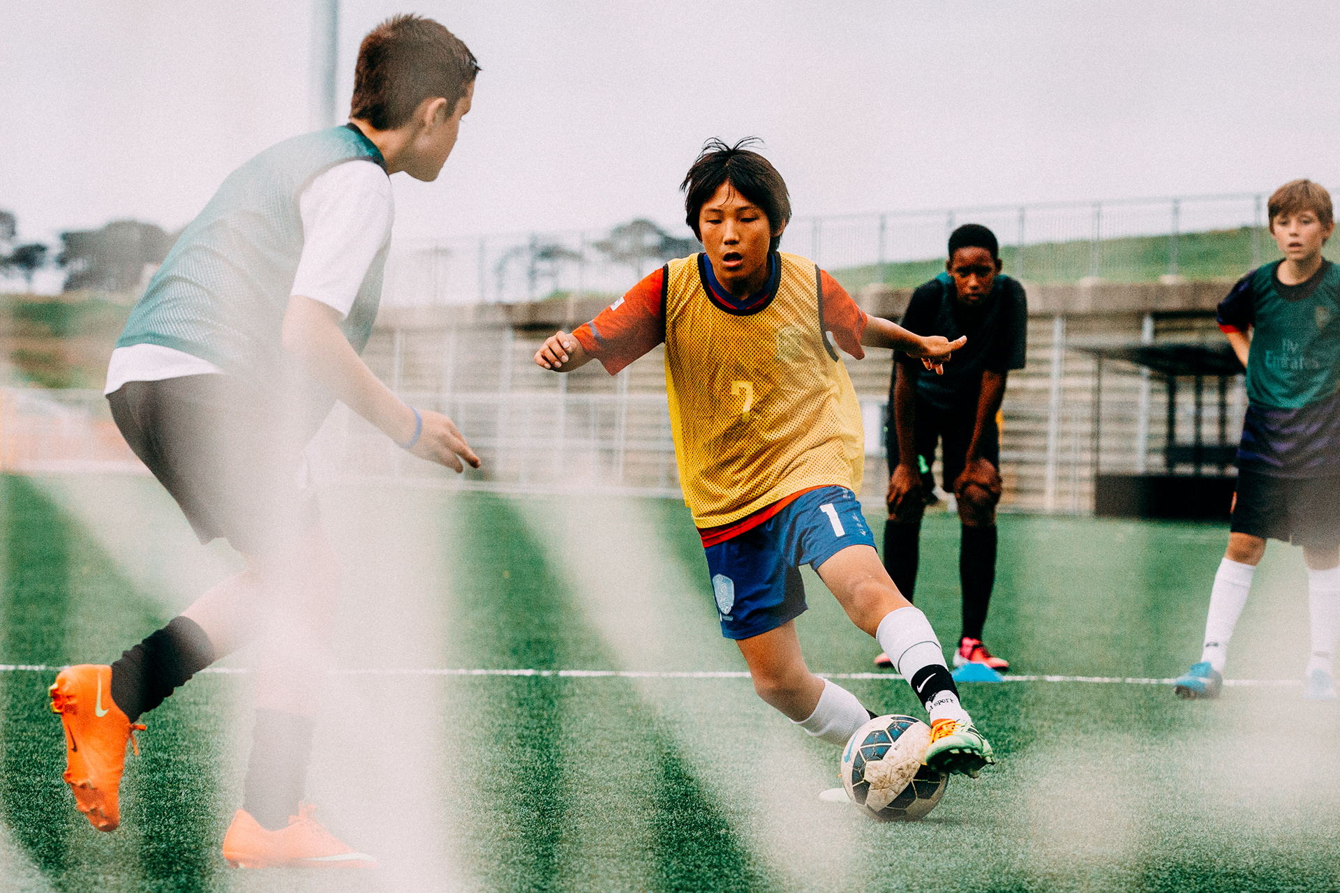 Auckland Community Photography