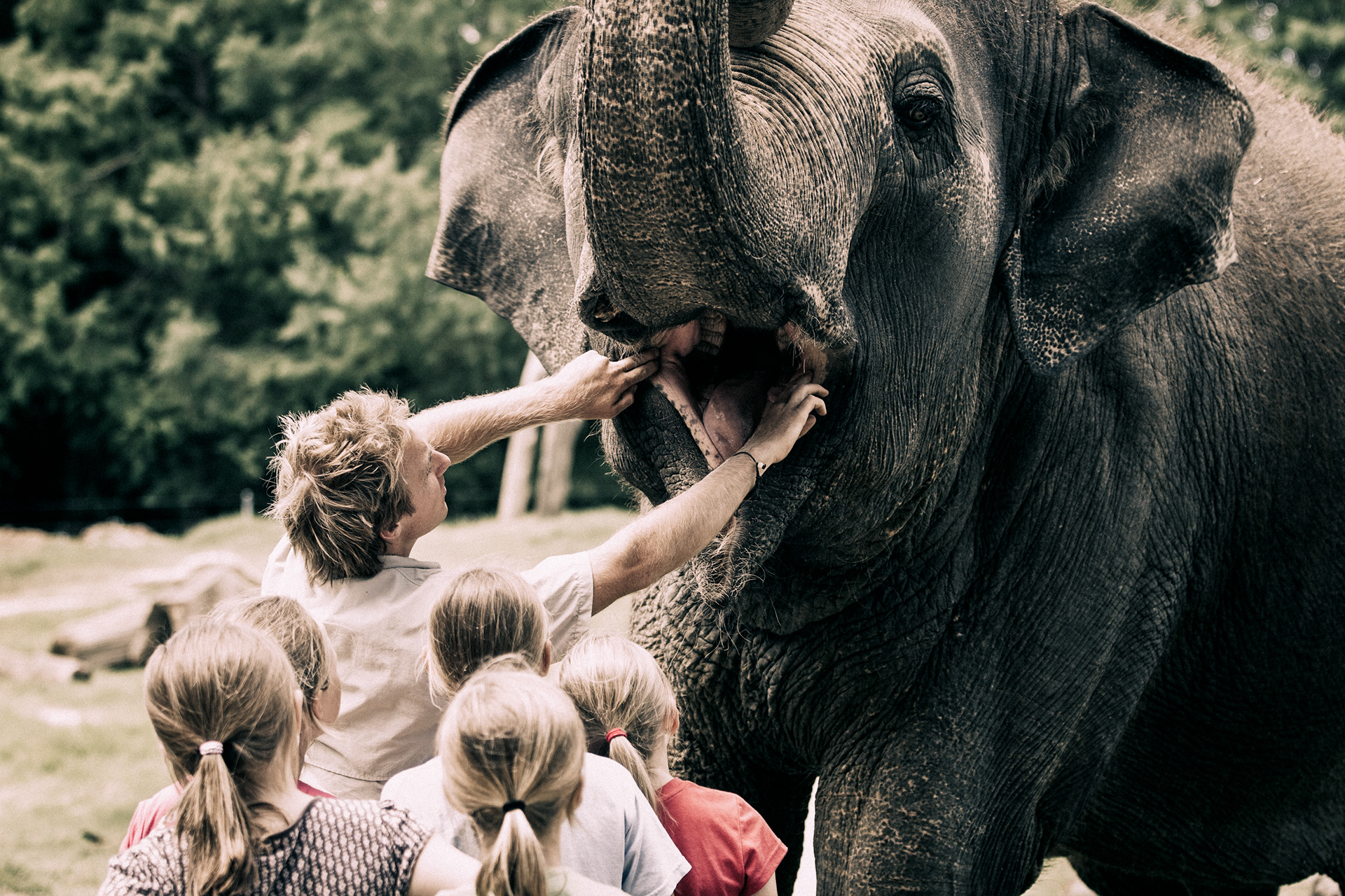 Auckland Zoo and NZCCM photography