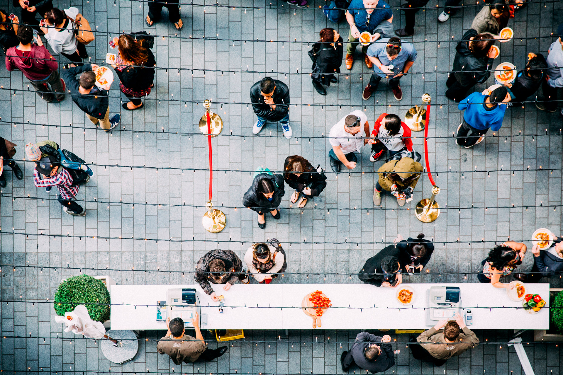 Auckland Community Photography