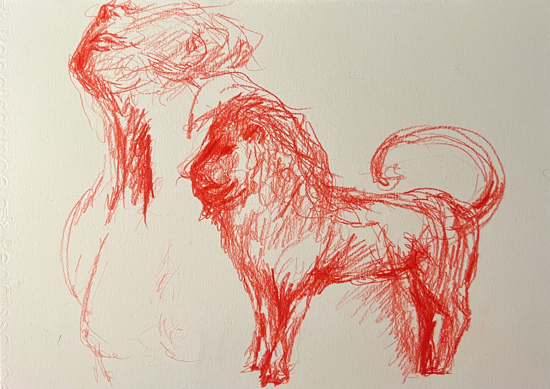 The Lion, 2023