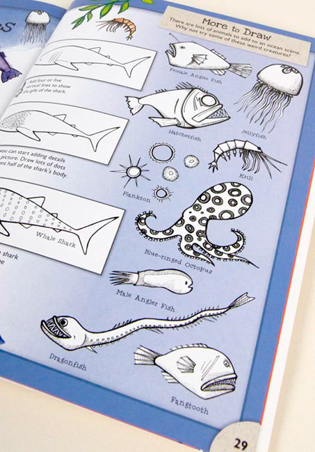 Interior photograph of how to Draw Animals book, Illustrated by Fiona Gowen. Featuring octopus, shrimp and Angler Fish