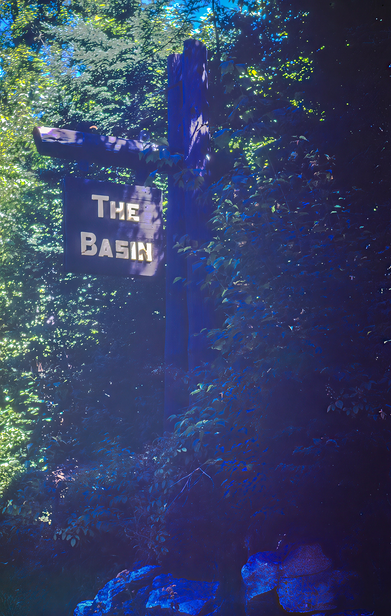 The Basin