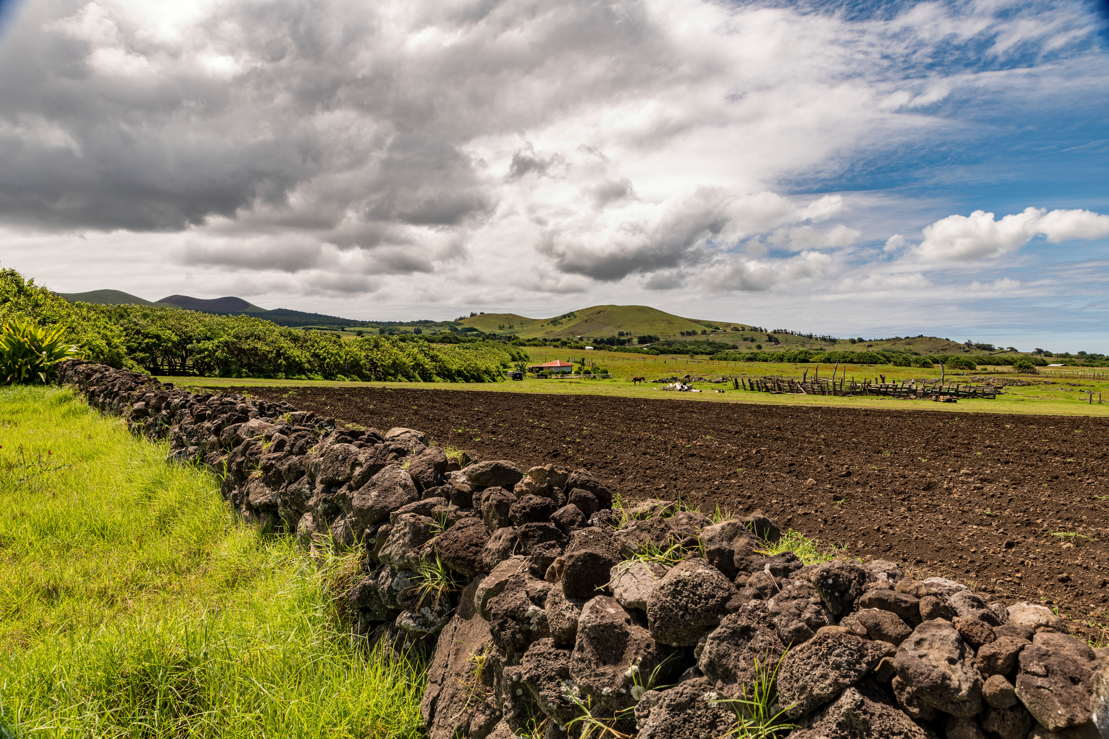 A view from the lodge grounds