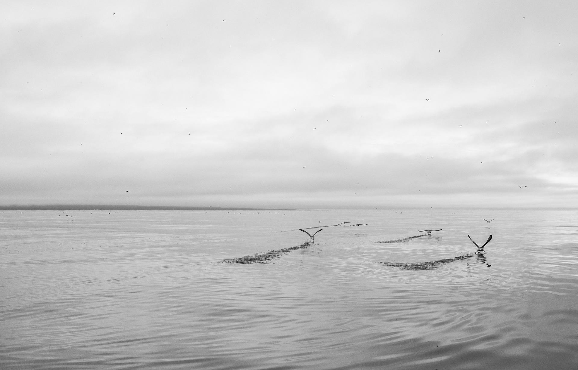 Scene from Zodiac around Drangey island