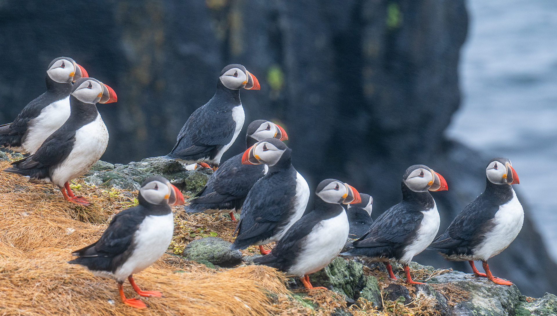 There's One in Every Crowd!