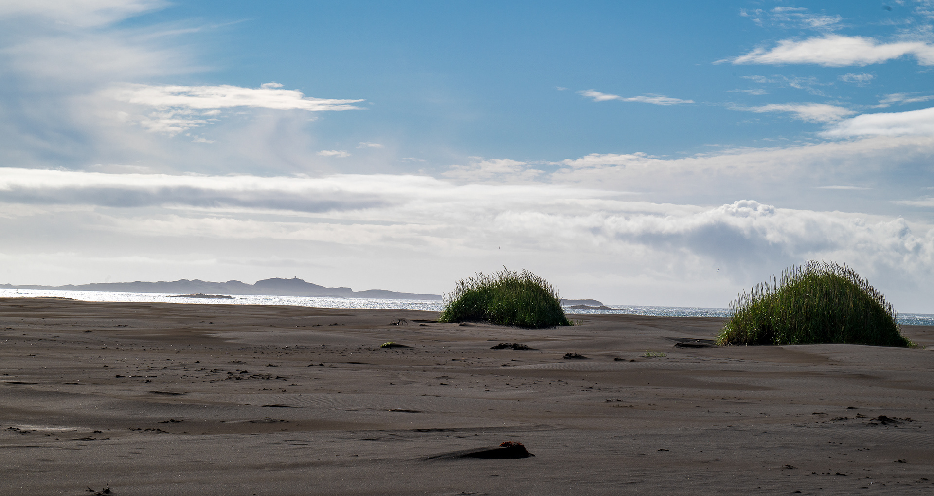 Scene at Djupivogur black sand beach