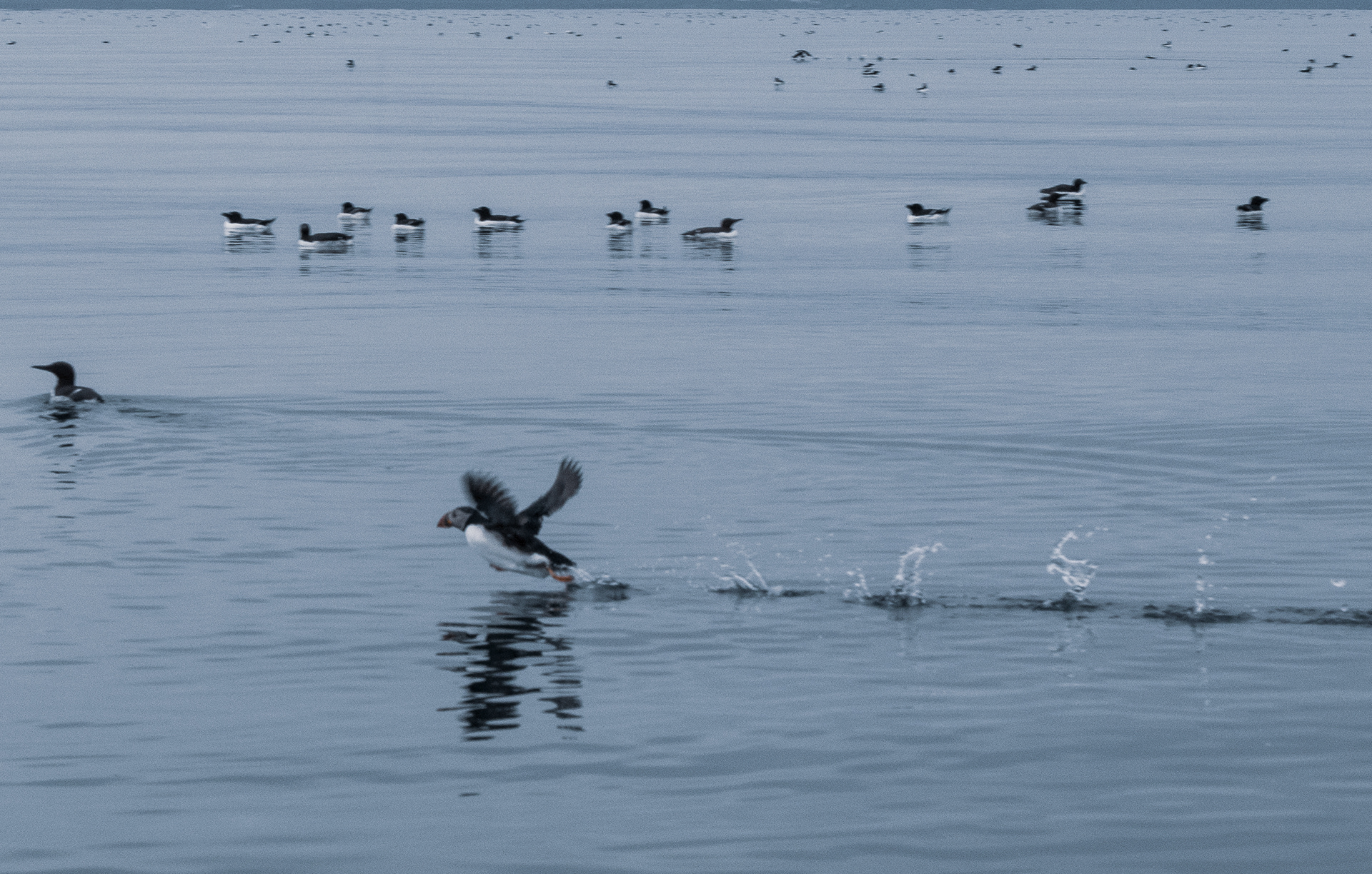 Scene from Zodiac around Drangey island