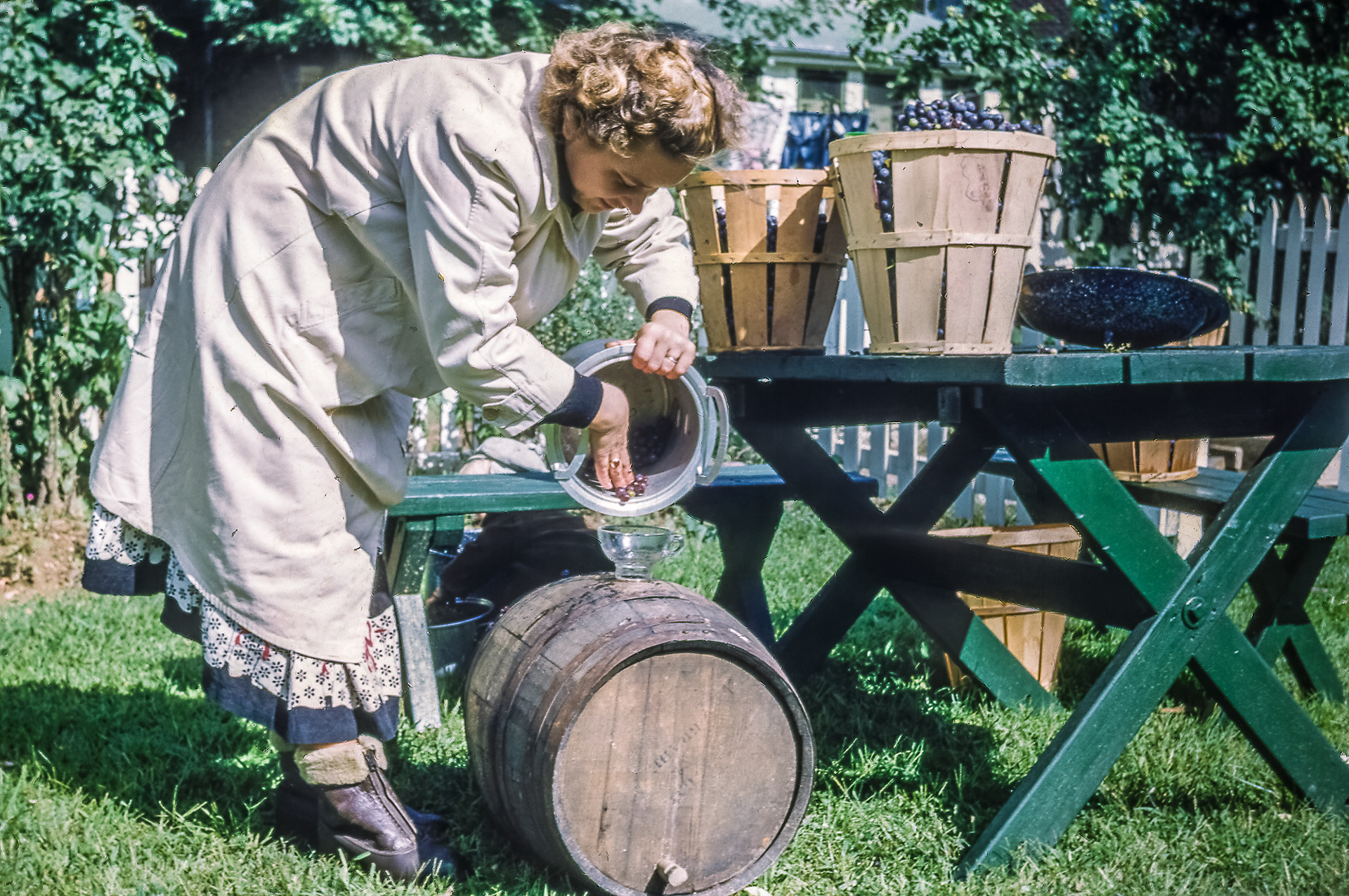 Winemaking in Westgate 1950