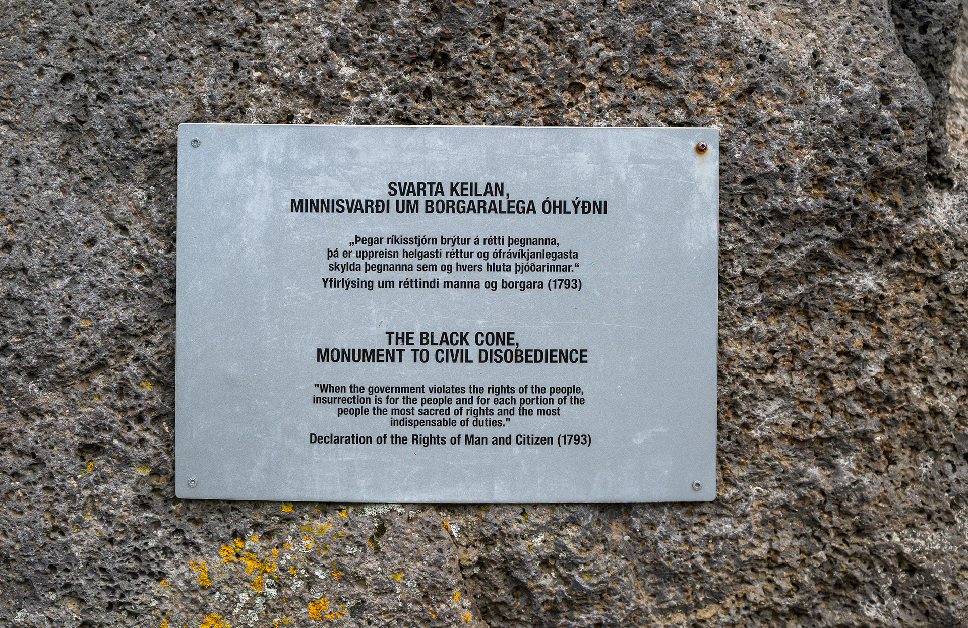 Reykjavik social commentary