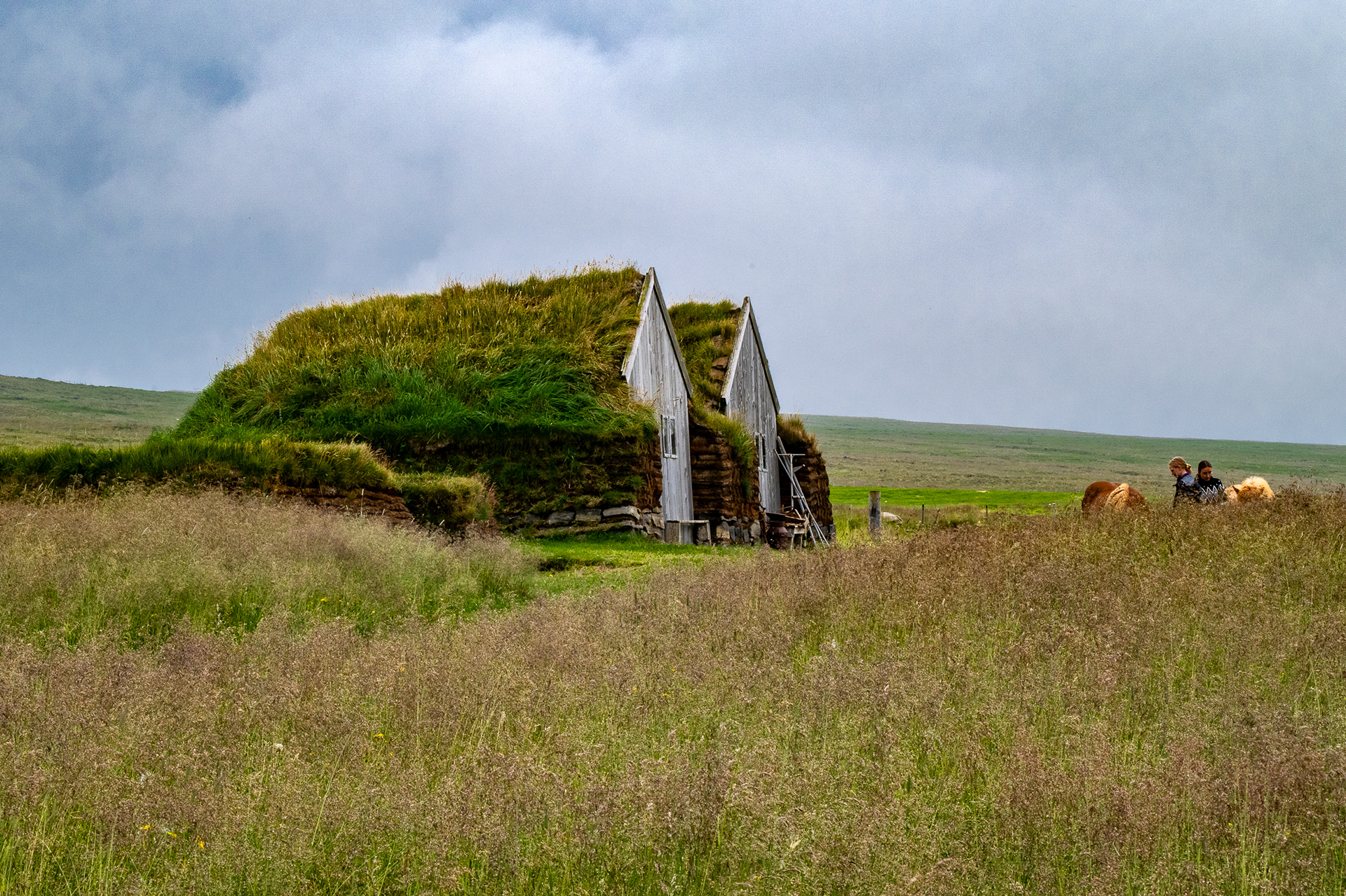 Sod house structures outside horse farm at Skagafjoraur