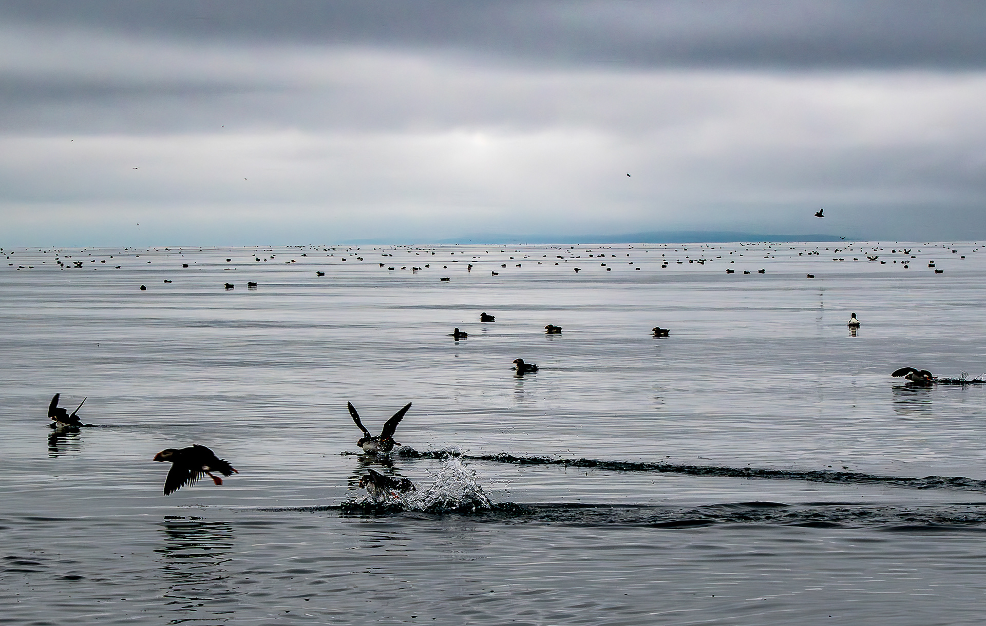 Scene from Zodiac around Drangey island