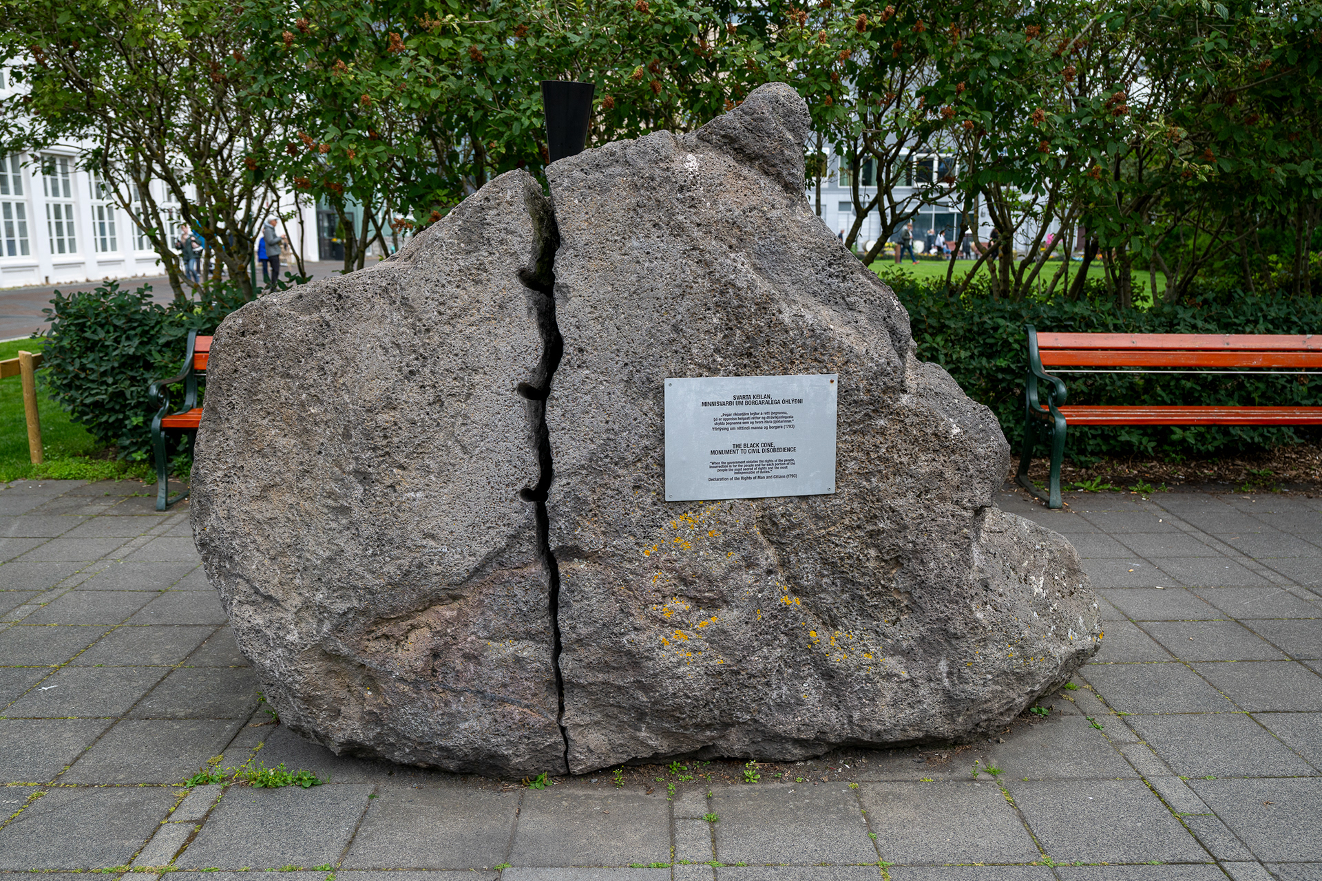 Reykjavik social commentary