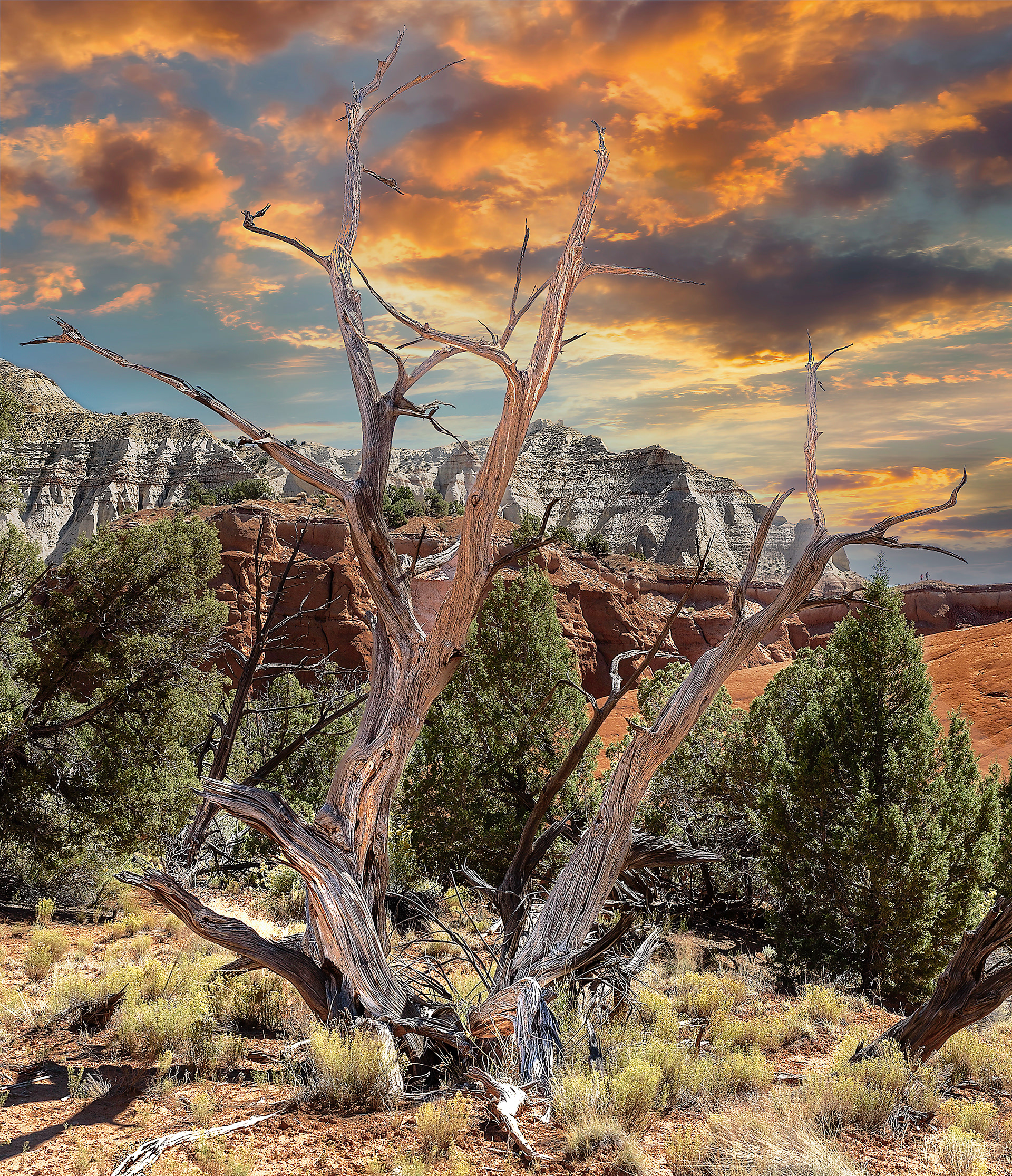 Kodachrome Basin State Park - Utah