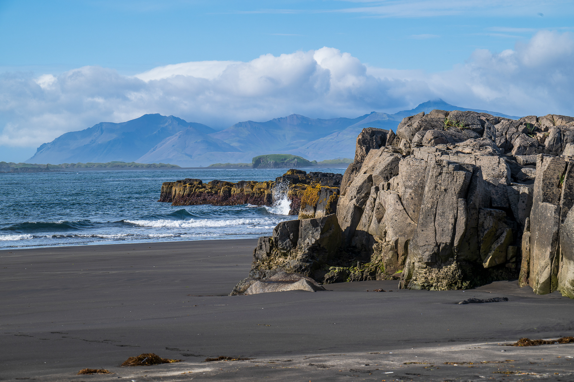 Scene at Djupivogur black sand beach