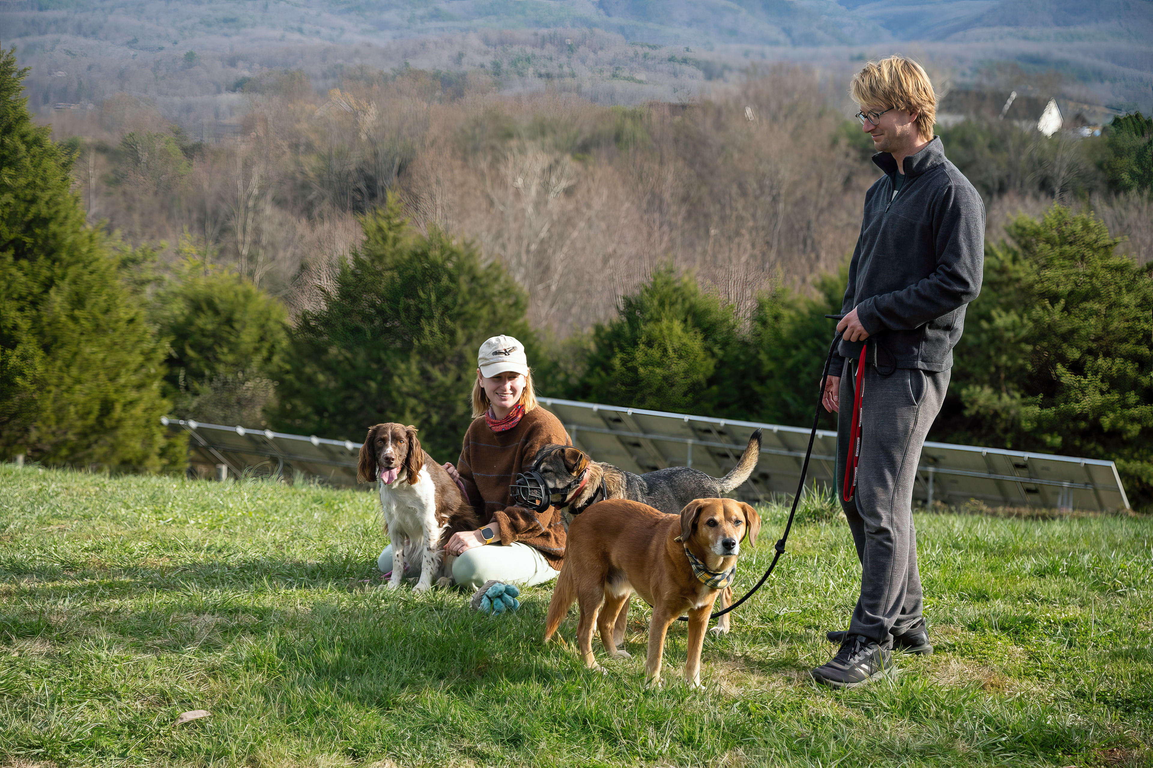 Chloe, Siska, Mojo (w/ muzzle), Roscoe, Jonathan