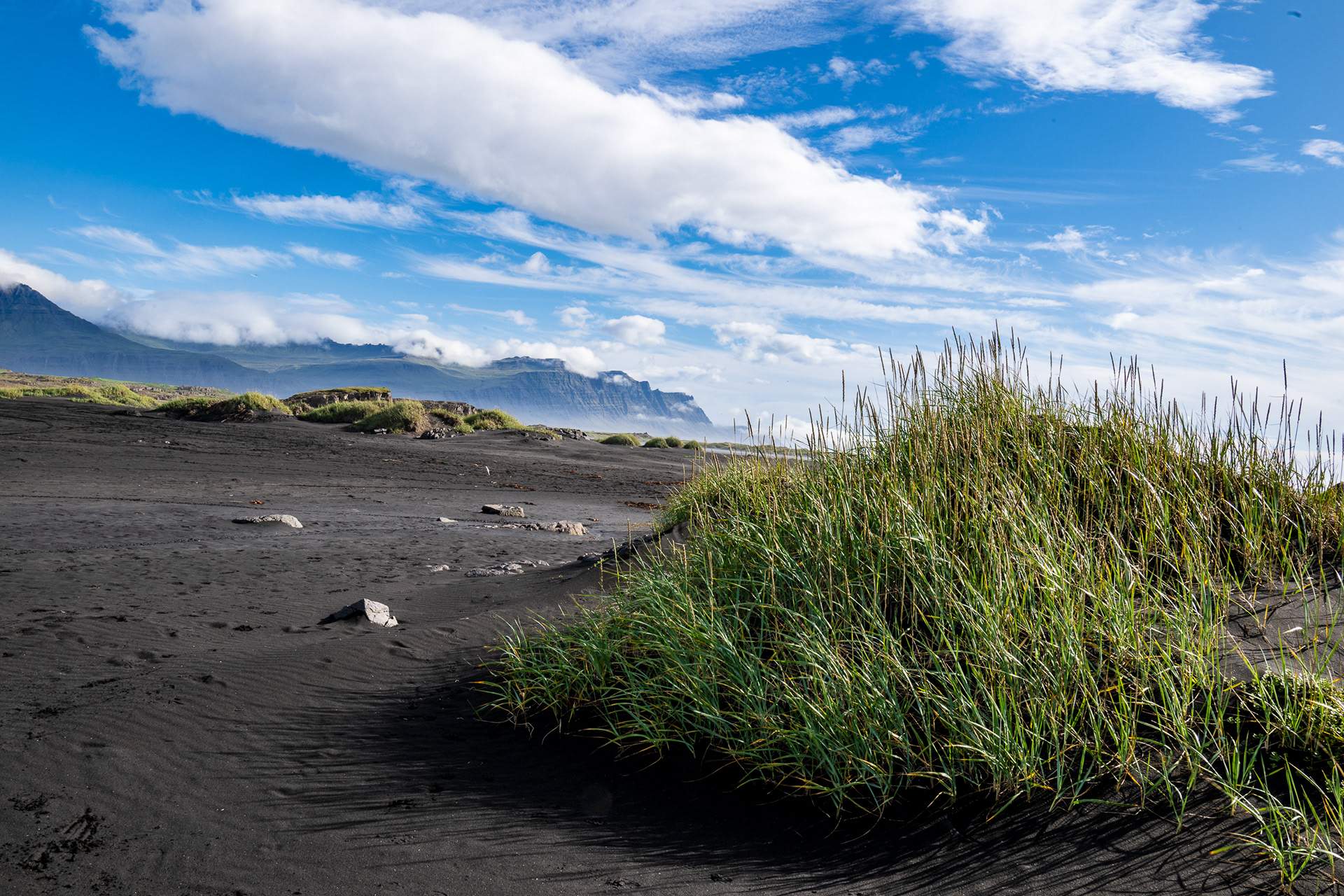 Scene at Djupivogur black sand beach