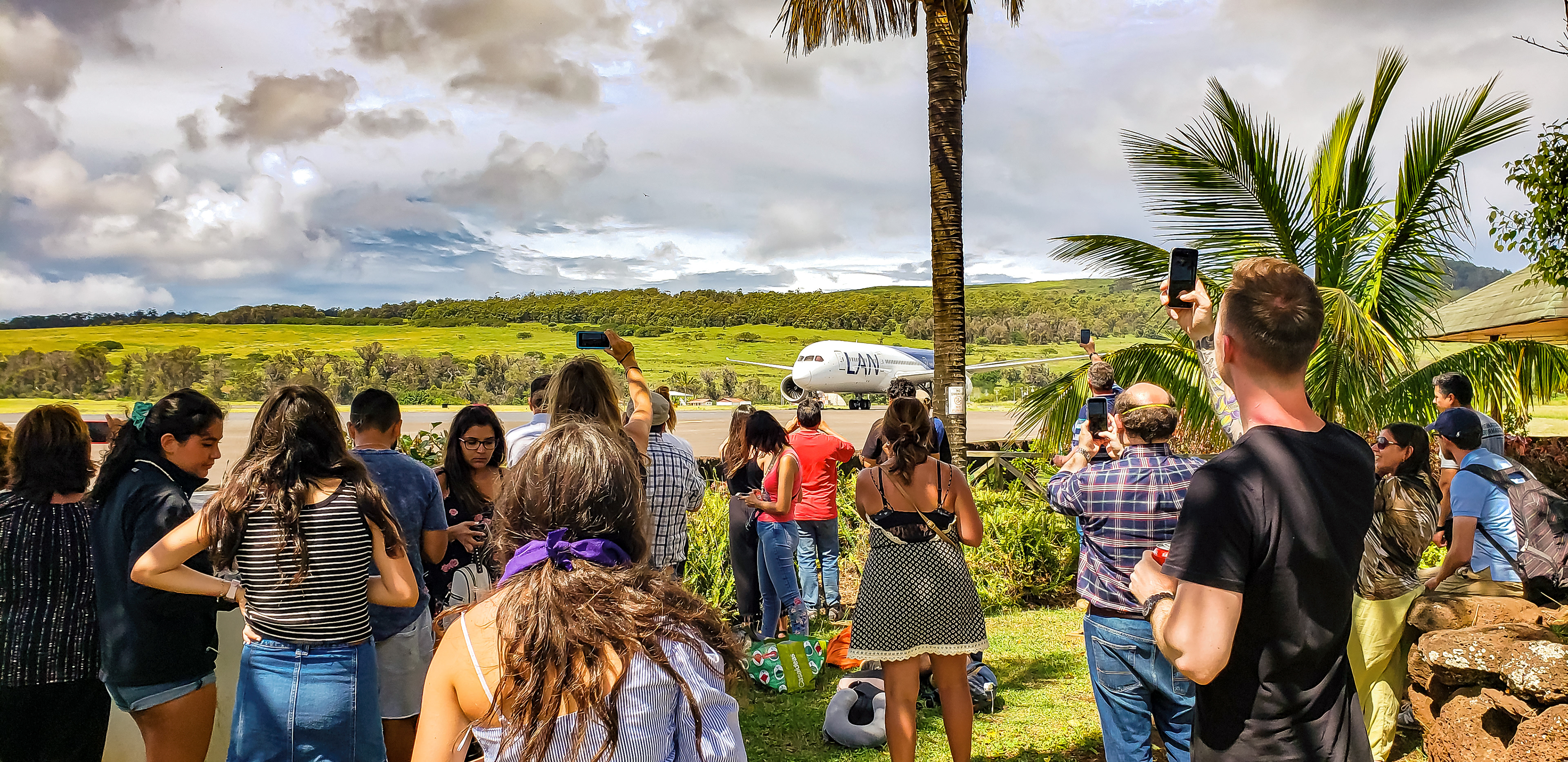 "The plane! The plane!!"